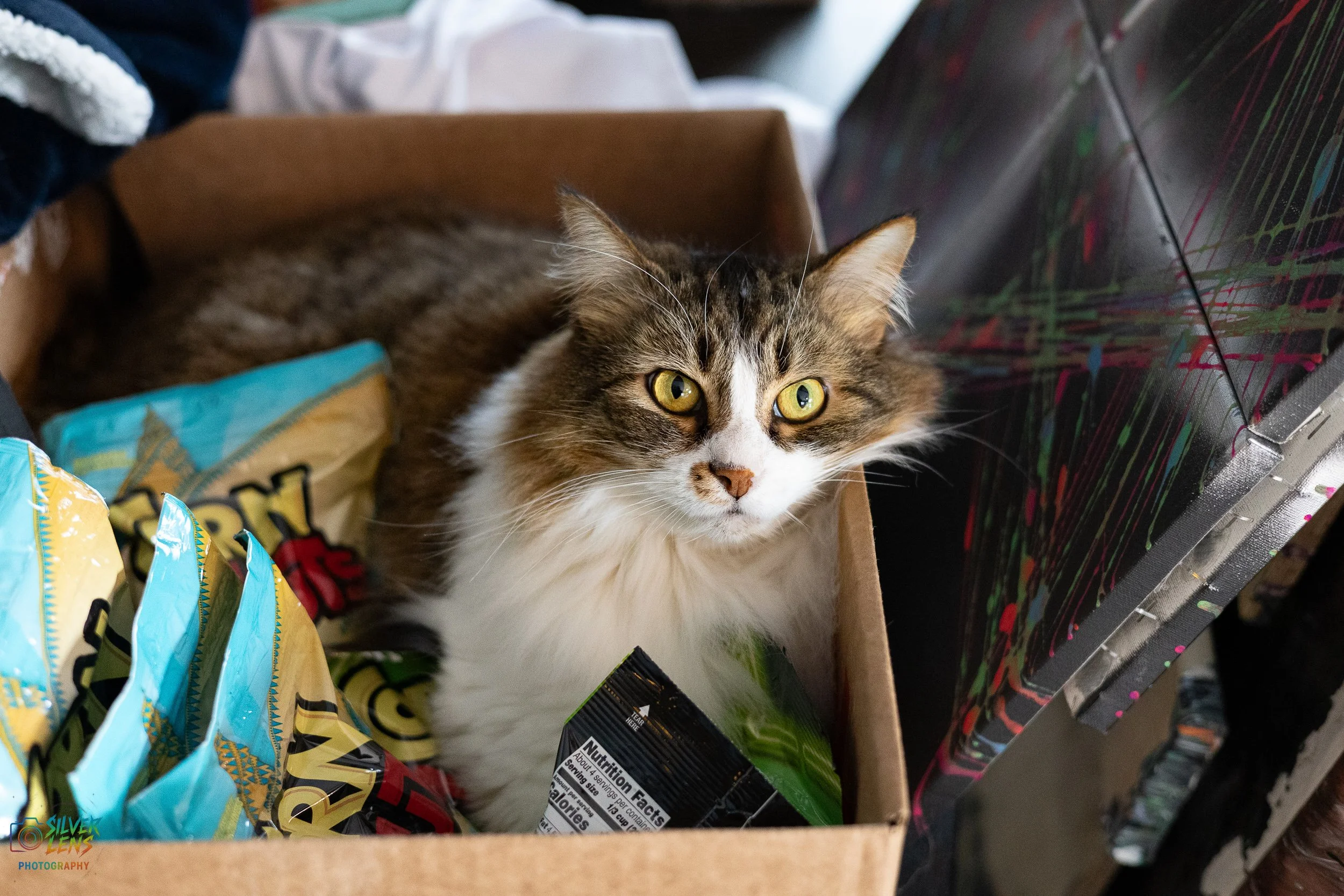 websitestuffs (3 of 11).jpg