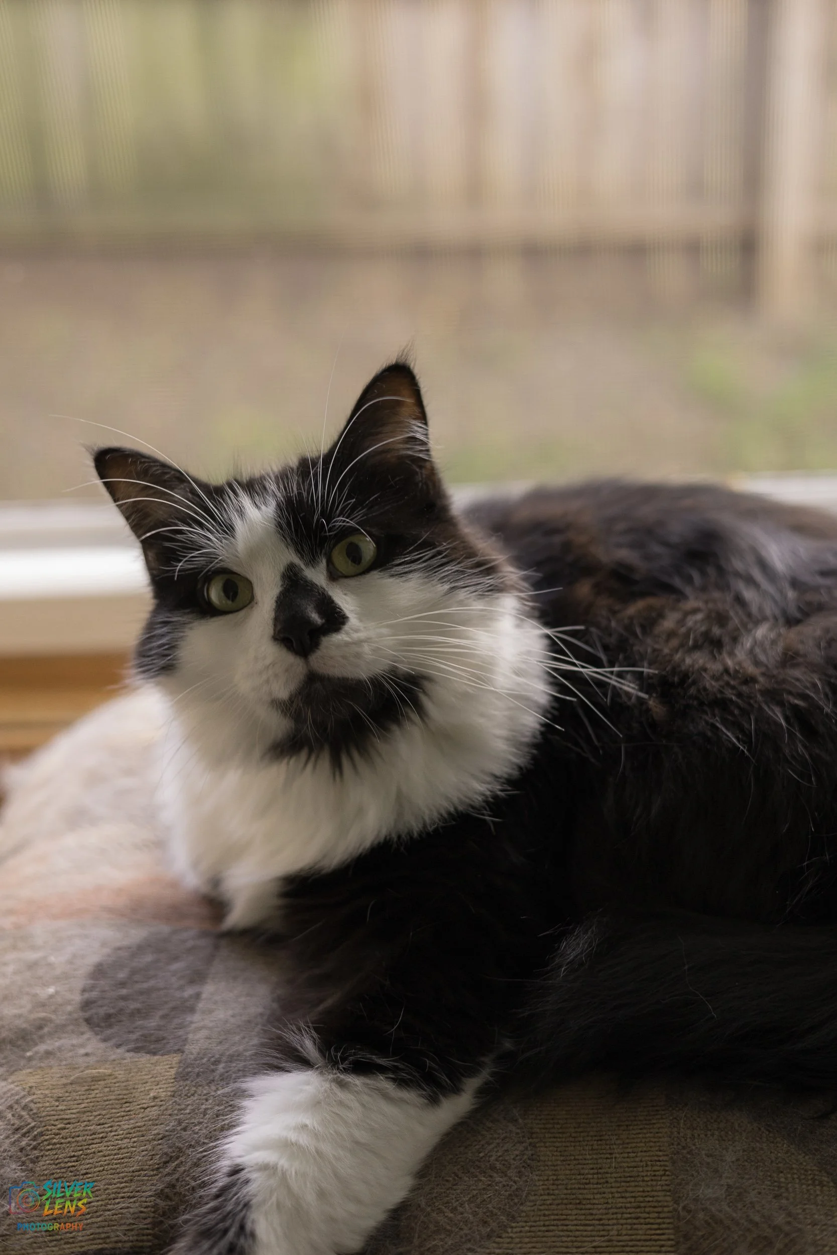 websitestuffs (4 of 11).jpg