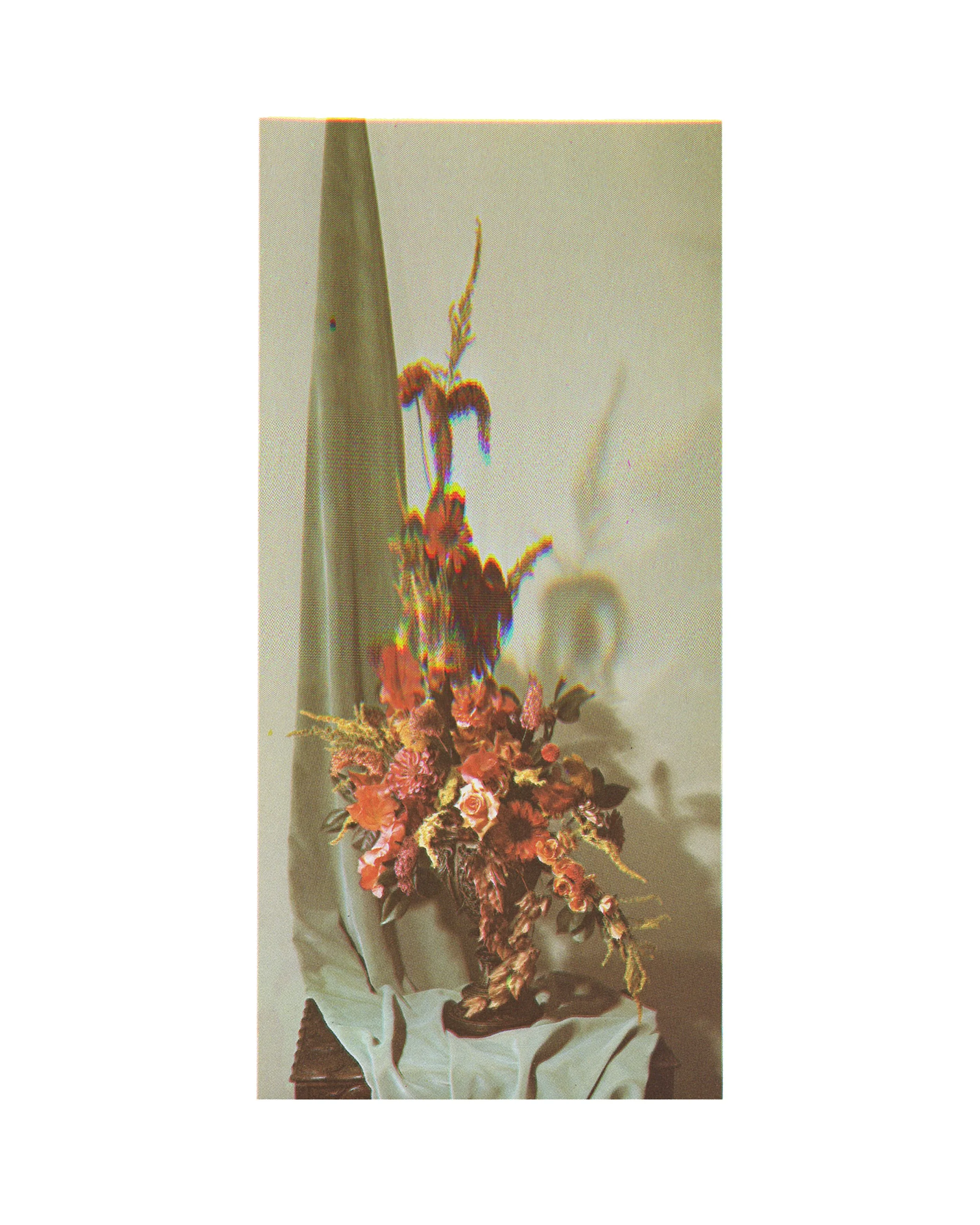 Img 02.jpg