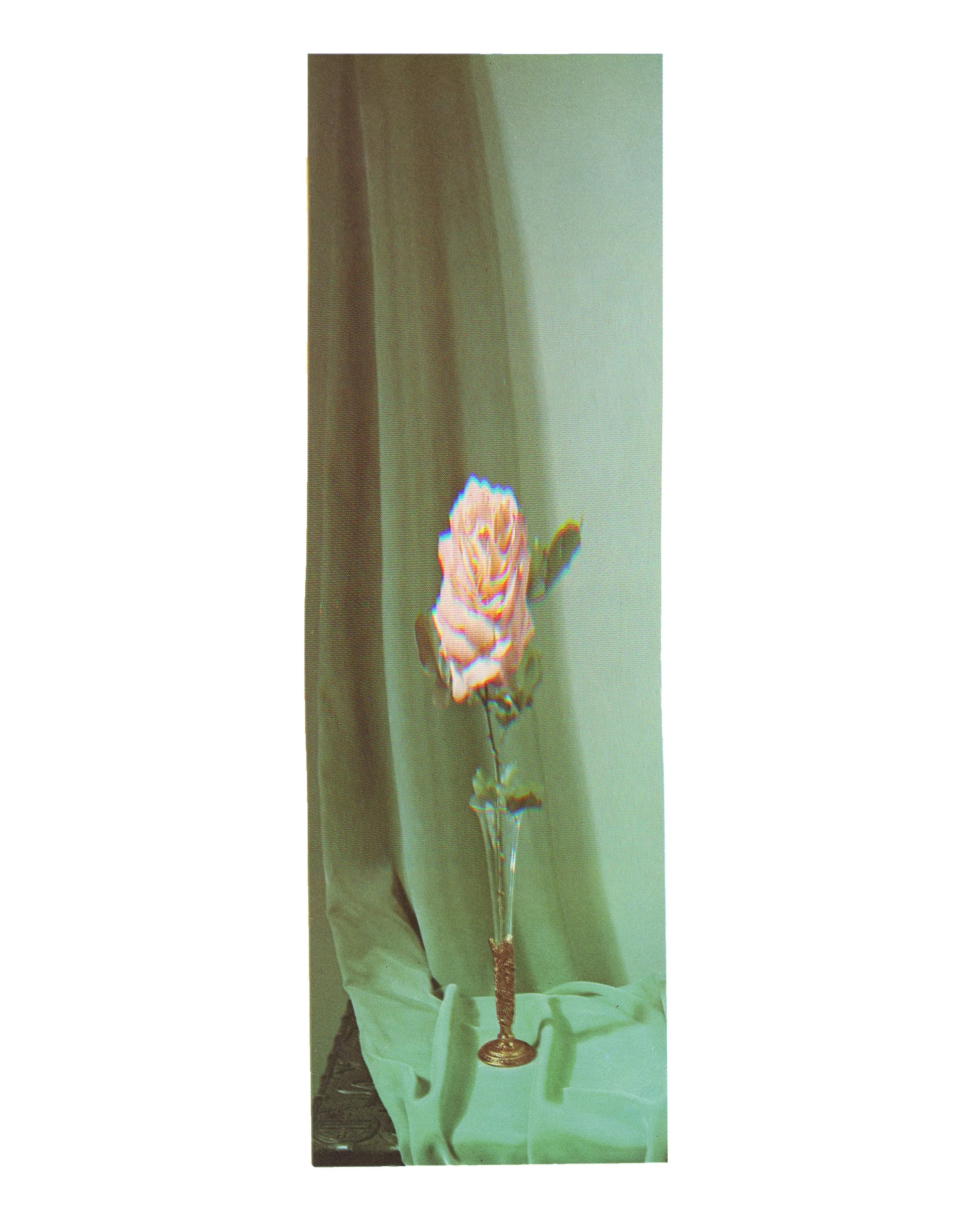 Img 01.jpg