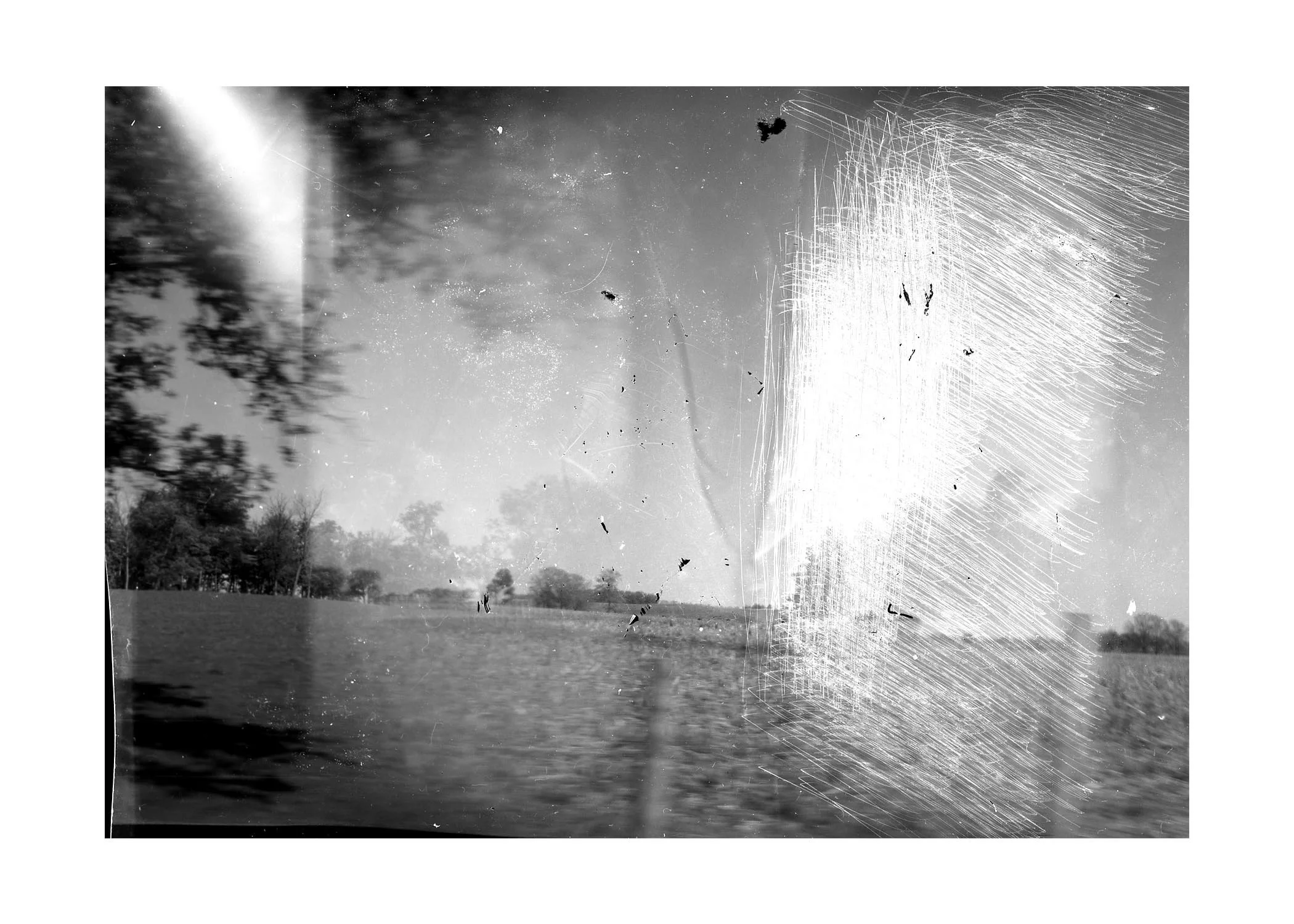 img 04.jpg