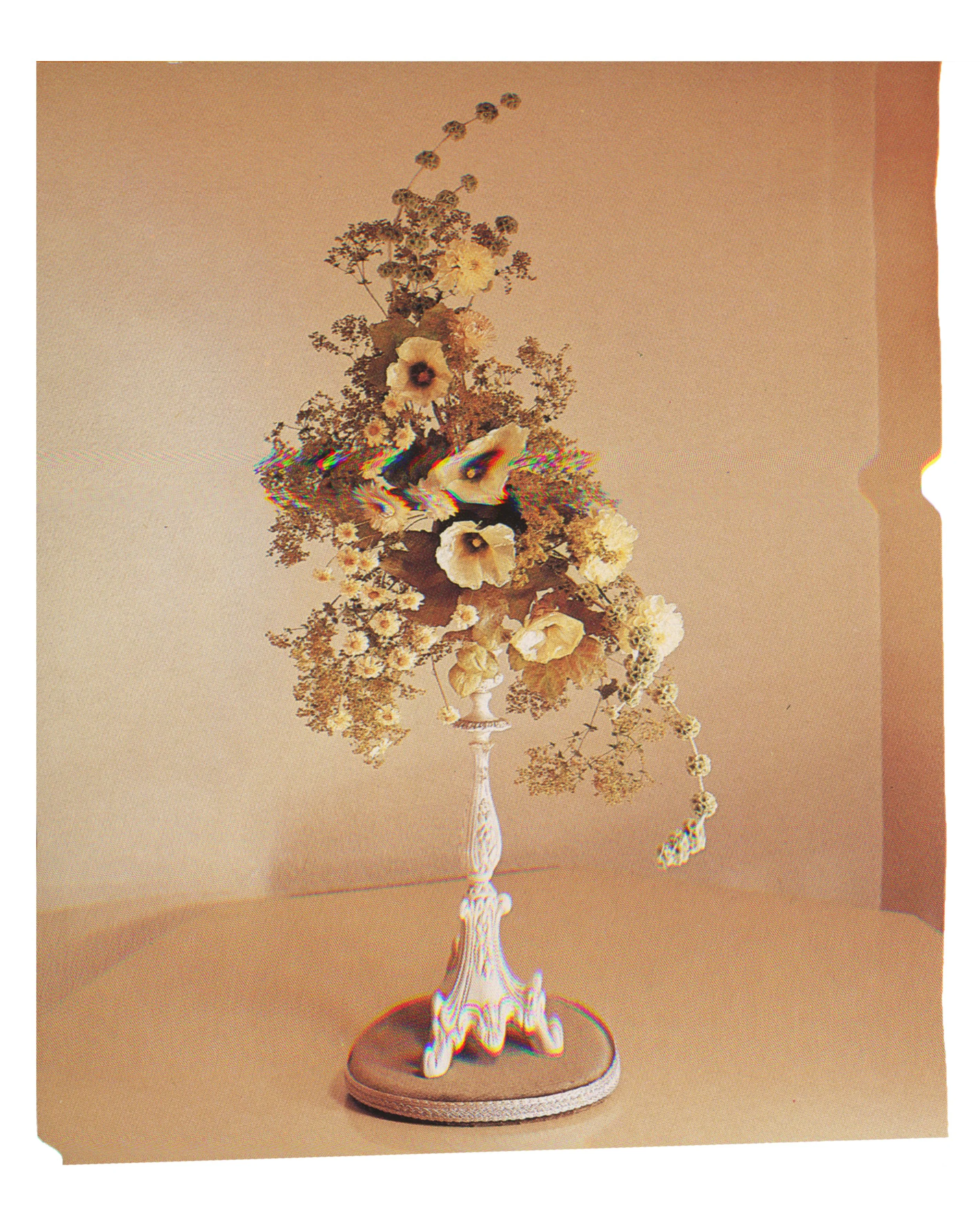 Img 10.jpg