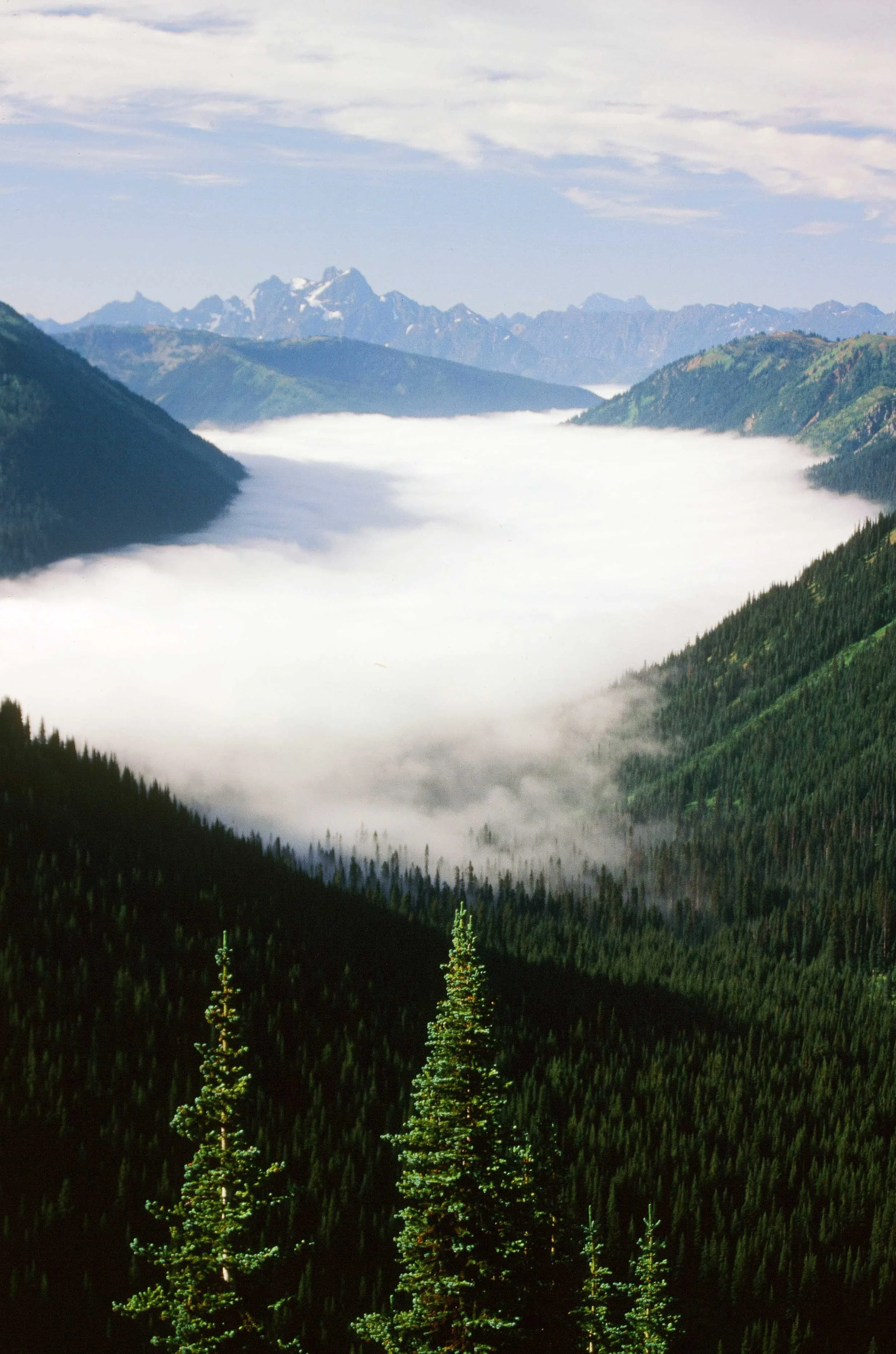 Photo of a mountain landscape with green forested slopes, a fog-covered valley, and distant snow-capped peaks under a partly cloudy sky.
