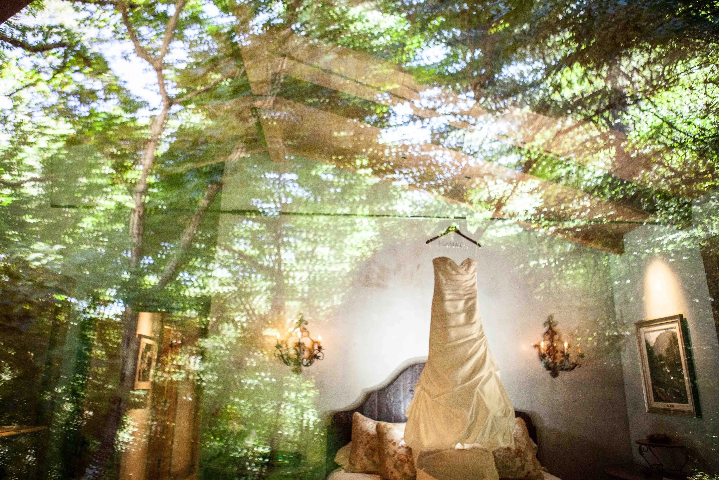 A wedding dress hanging inside a room, with a reflection of lush green trees and sunlight on the glass window.