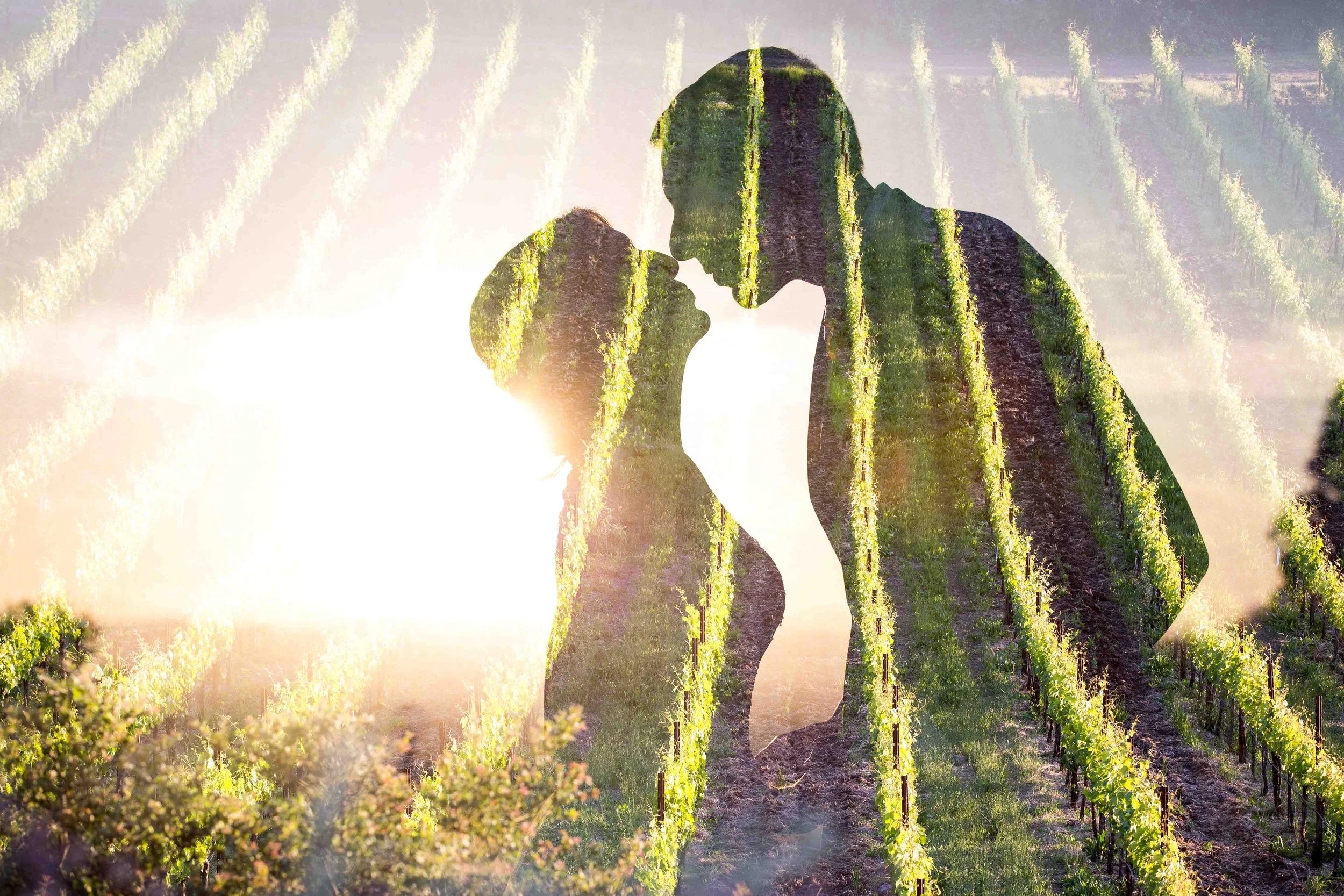 A romantic silhouette of a man and woman face-to-face, with a vineyard landscape overlaid, creating a double exposure effect.