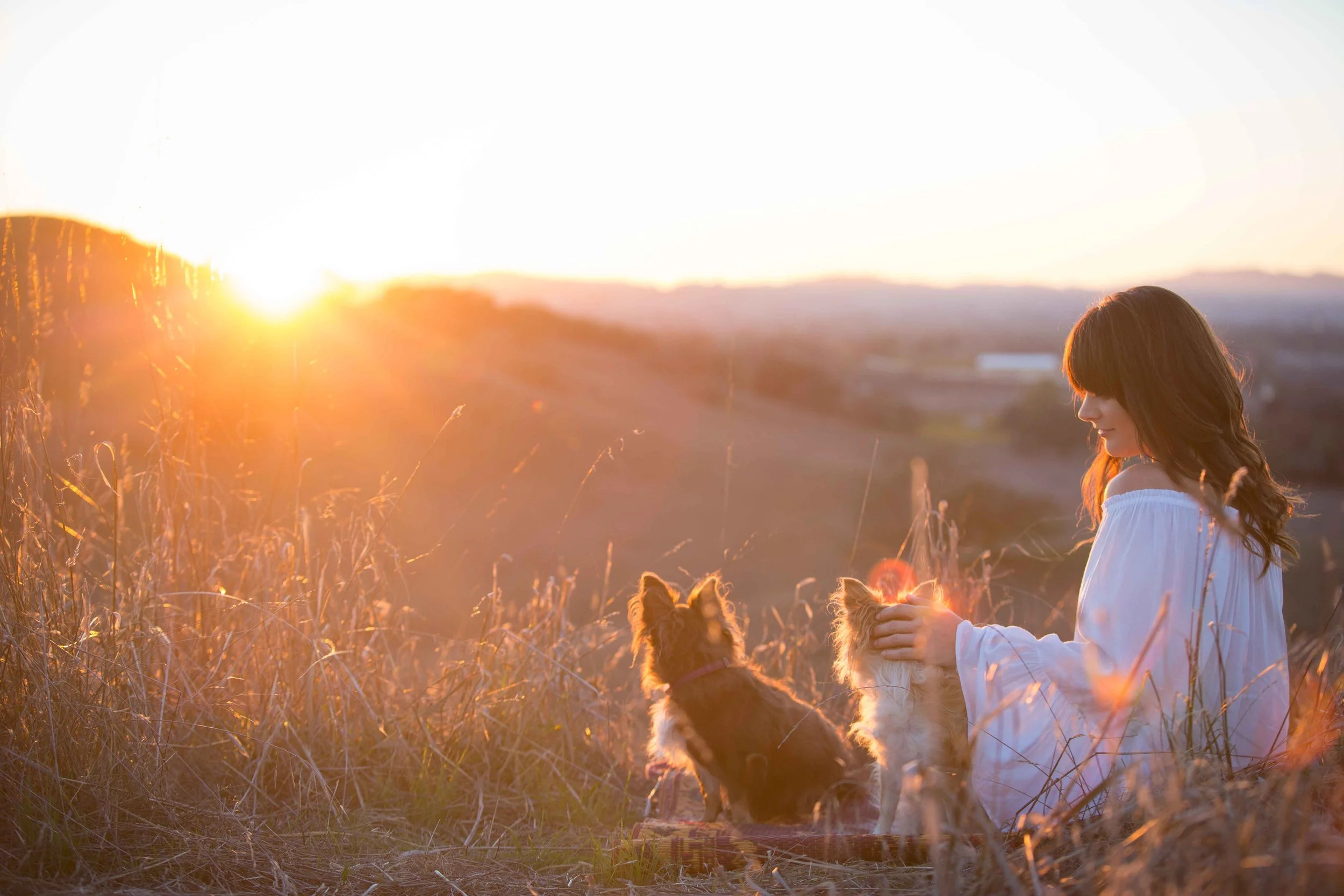 A woman in a white dress sits in a field at sunset with two dogs, one brown and one tan, as the sun sets in the background.