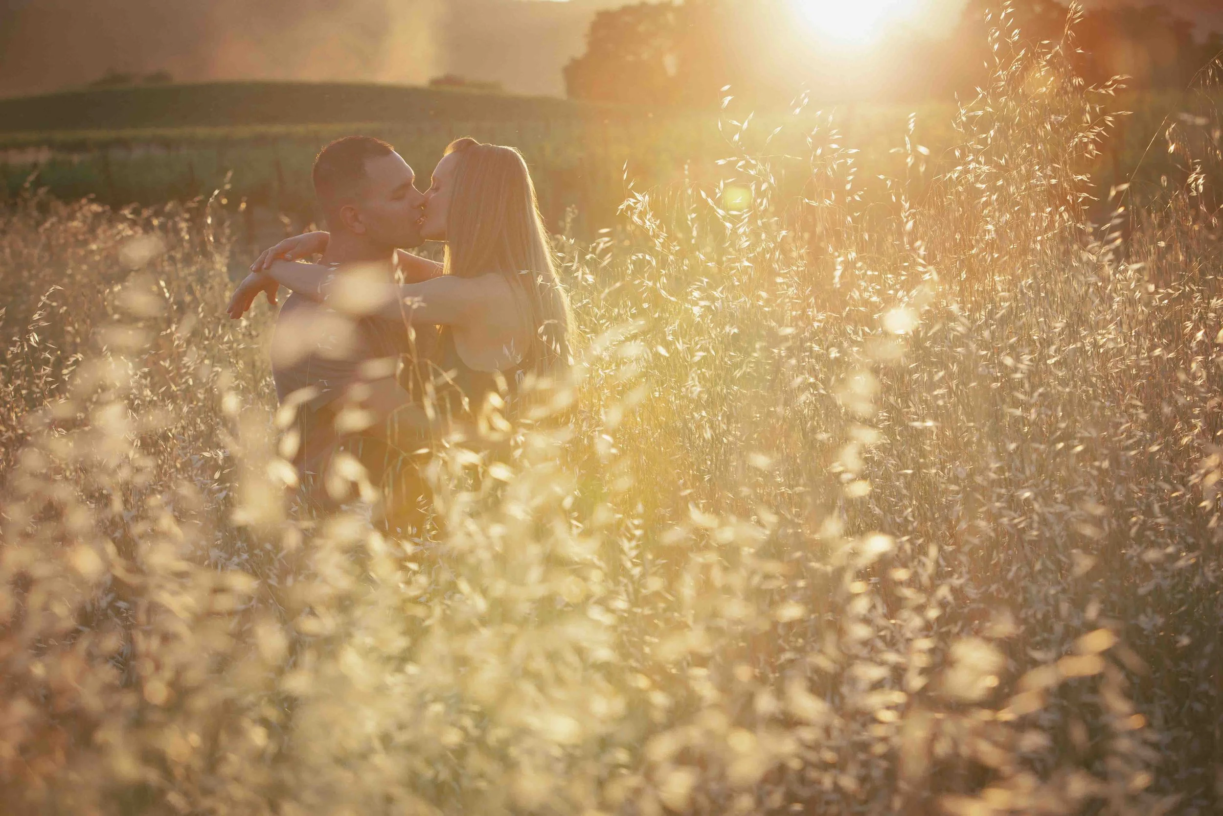 A couple kissing in a golden field during sunset.