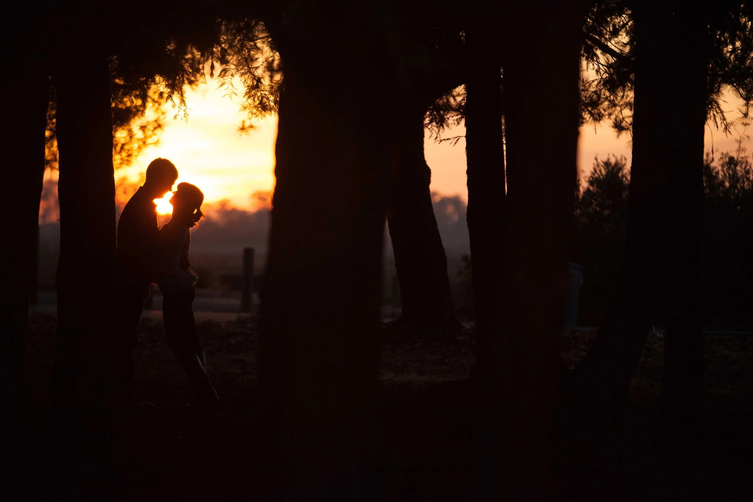 Silhouettes of two people standing in a forest during sunset, with trees in the foreground and a warm, glowing sky in the background.