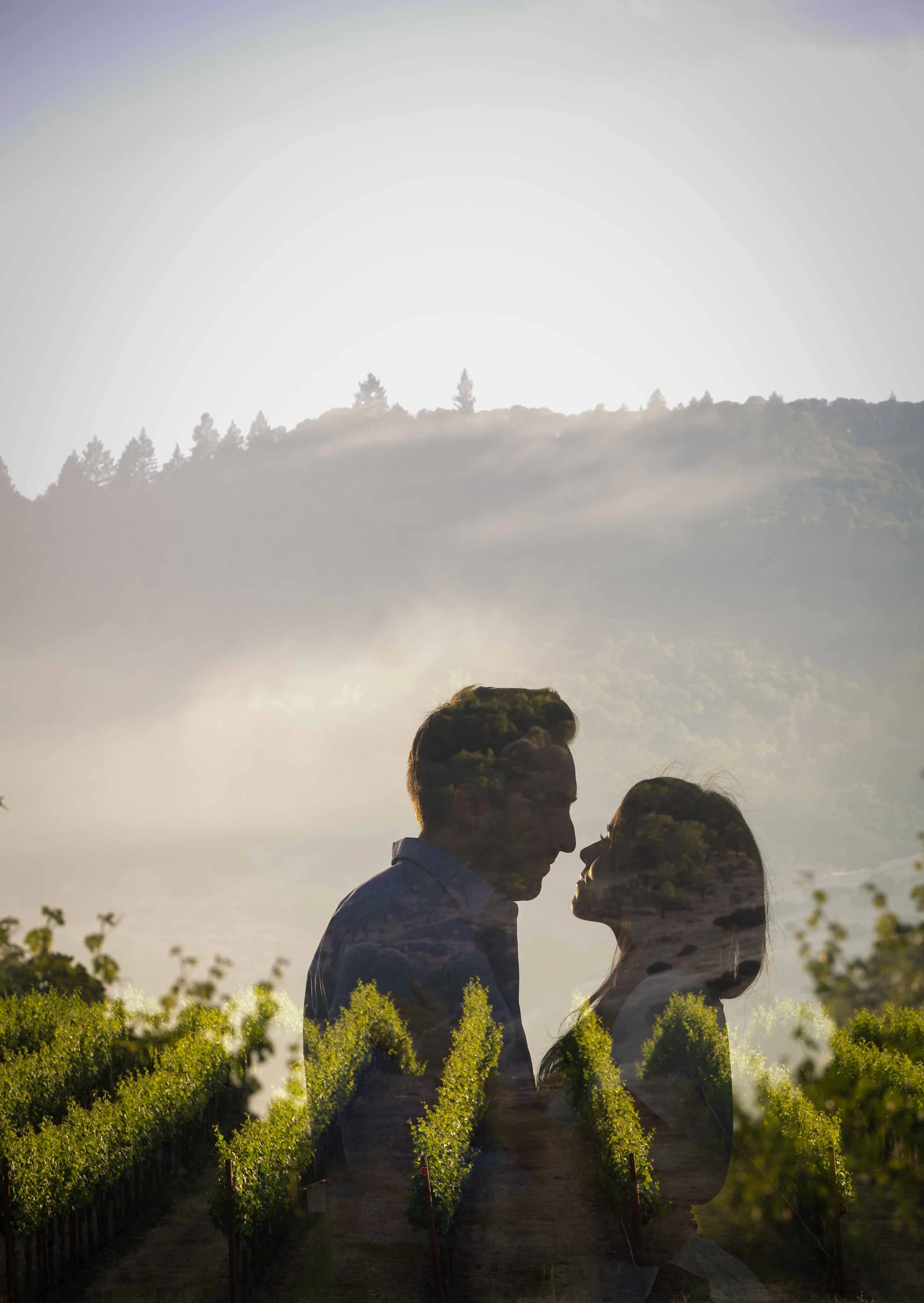 A double exposure photograph of a couple's silhouettes facing each other overlaid with a vineyard landscape and distant mountains.
