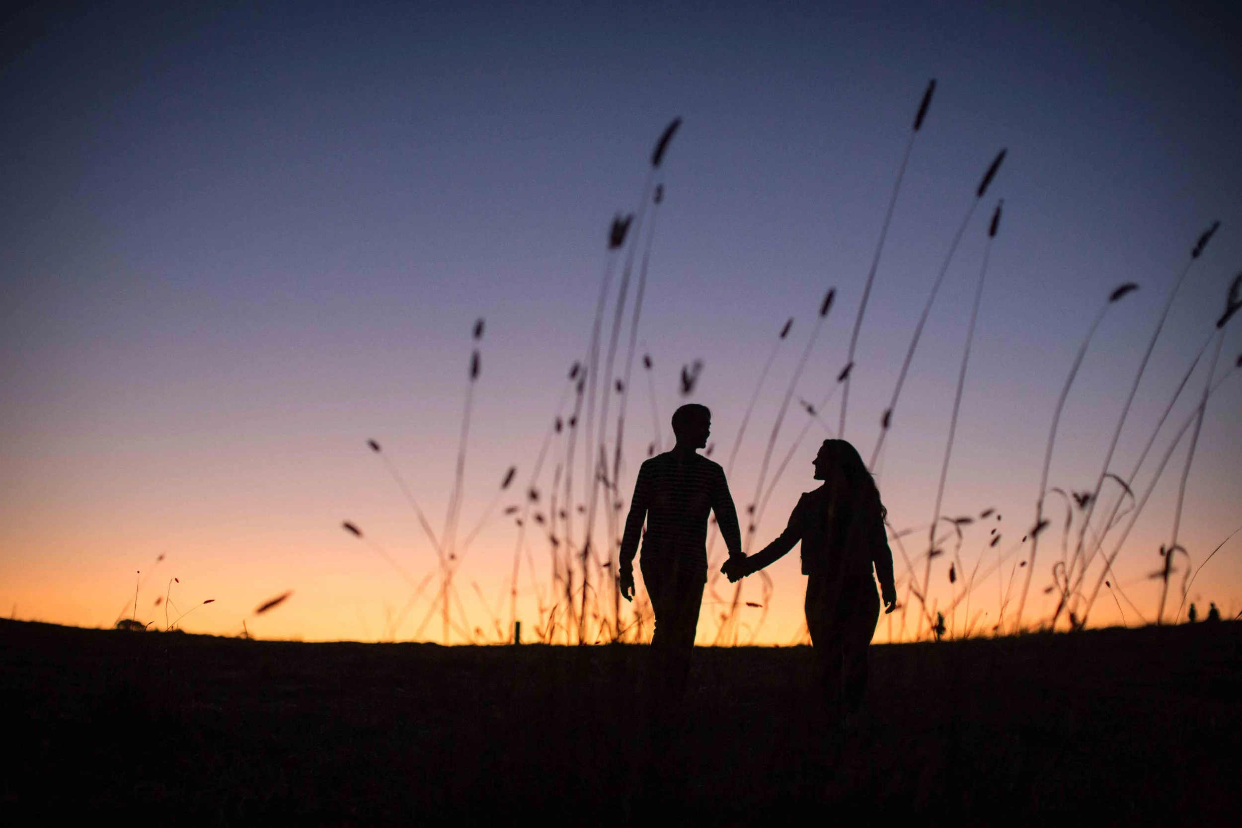 Silhouettes of a man and woman holding hands walking on a grassy hill at sunset with tall grass and plants in the foreground.