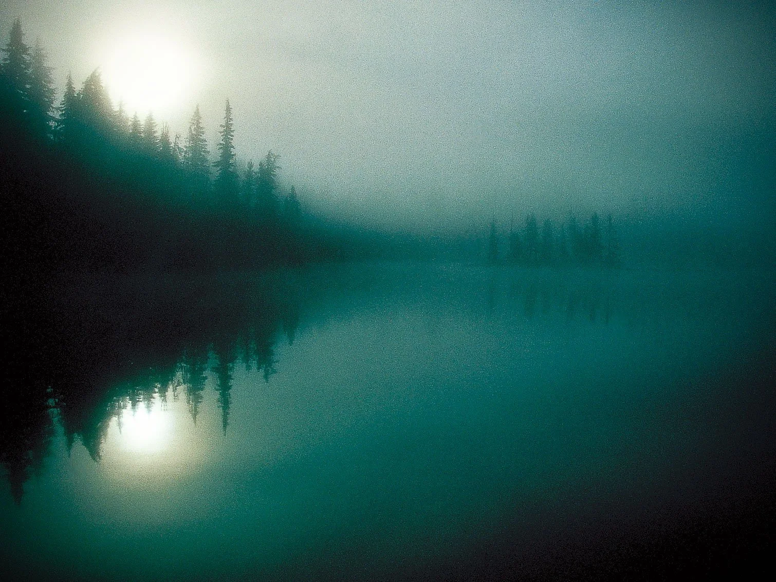 A foggy lake surrounded by tall pine trees, with their reflection visible on the calm water surface.