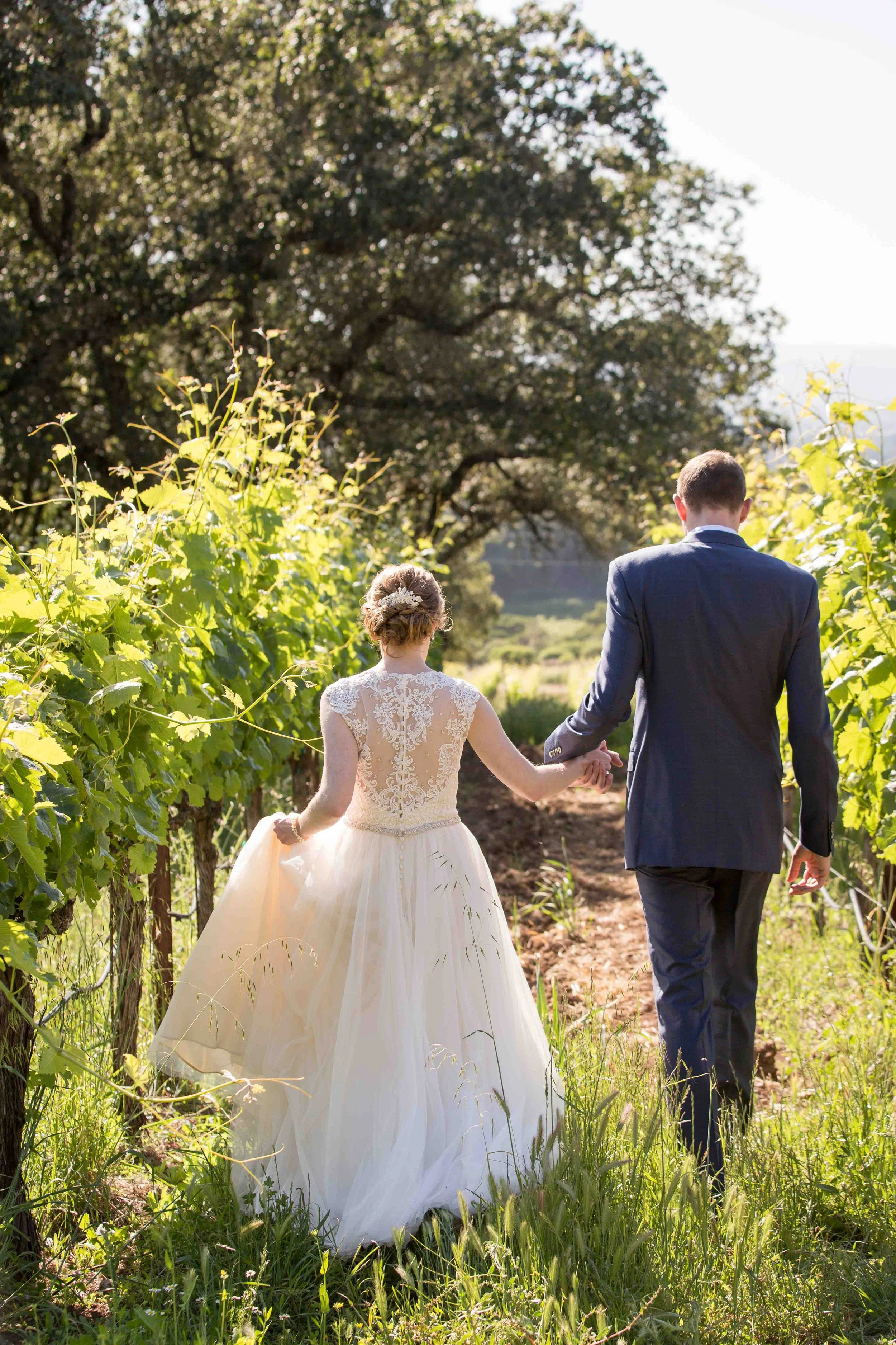 A bride and groom walking hand in hand through a vineyard on their wedding day.