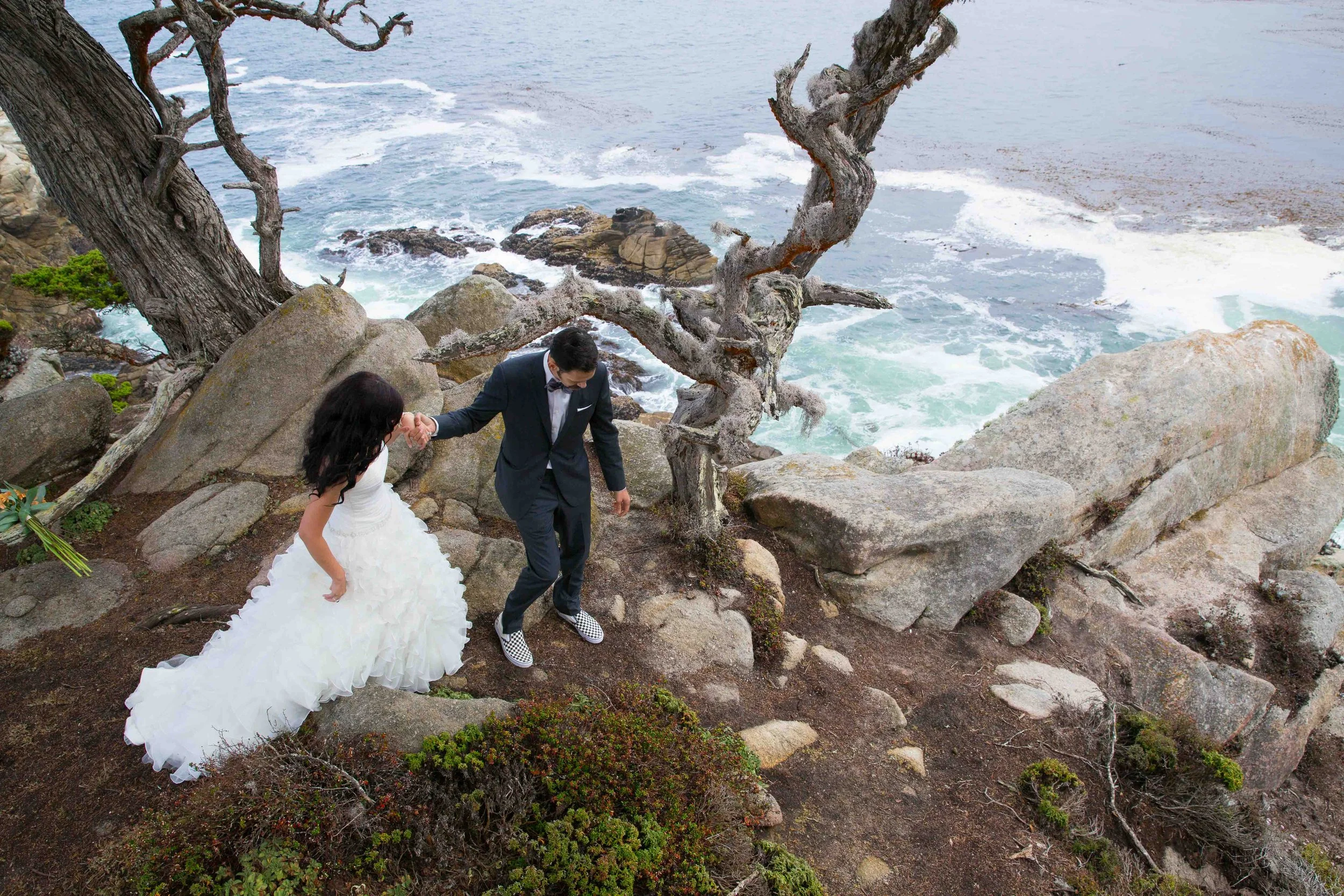A bride in a white wedding dress and a groom in a black suit walk hand in hand along a rocky, coastal area with a gnarled tree, overlooking the ocean.