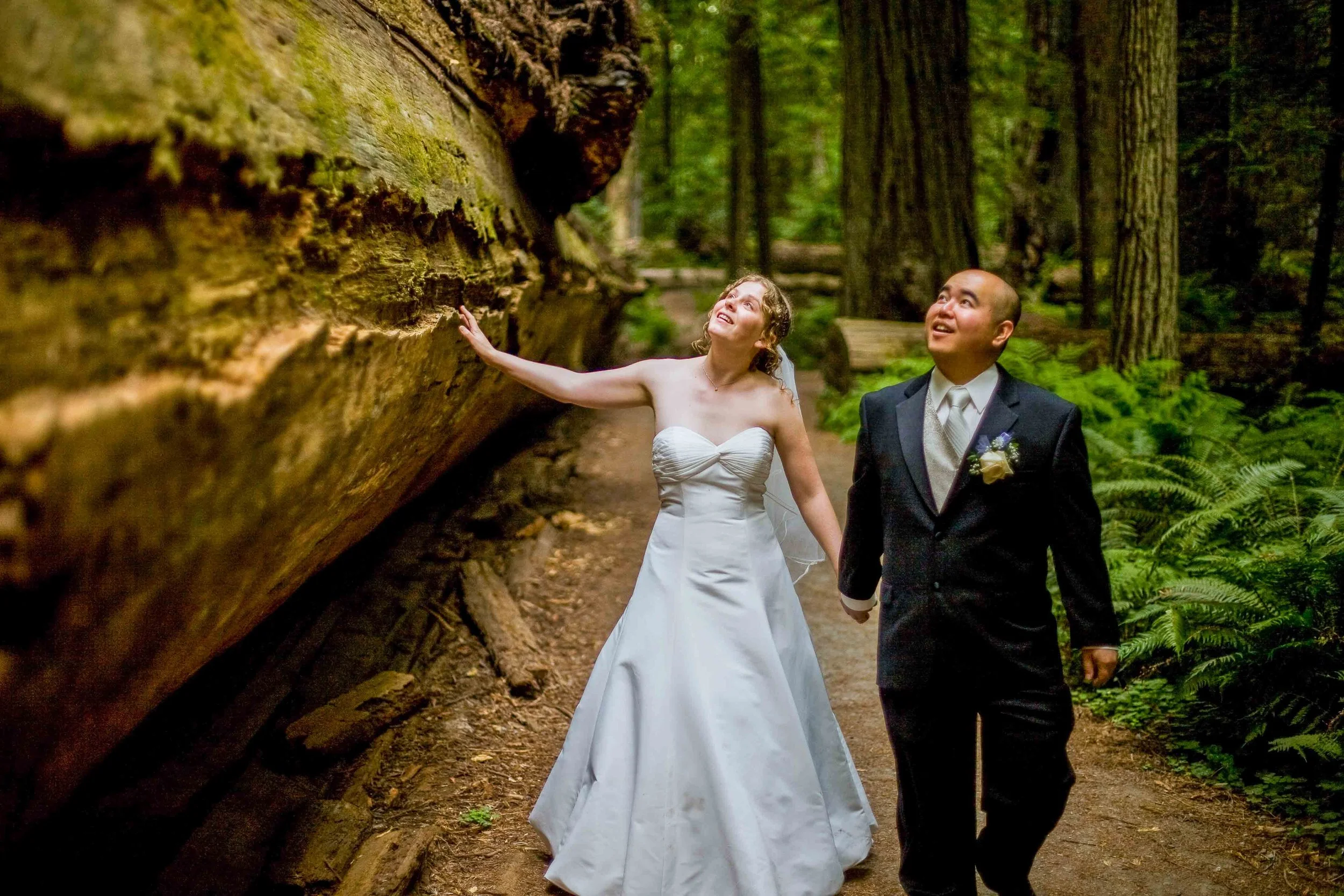 A bride and groom holding hands and standing on a forest trail, with the bride touching a large fallen tree trunk. The bride is in a white wedding dress and the groom in a black tuxedo. The scene is surrounded by tall trees and green foliage.