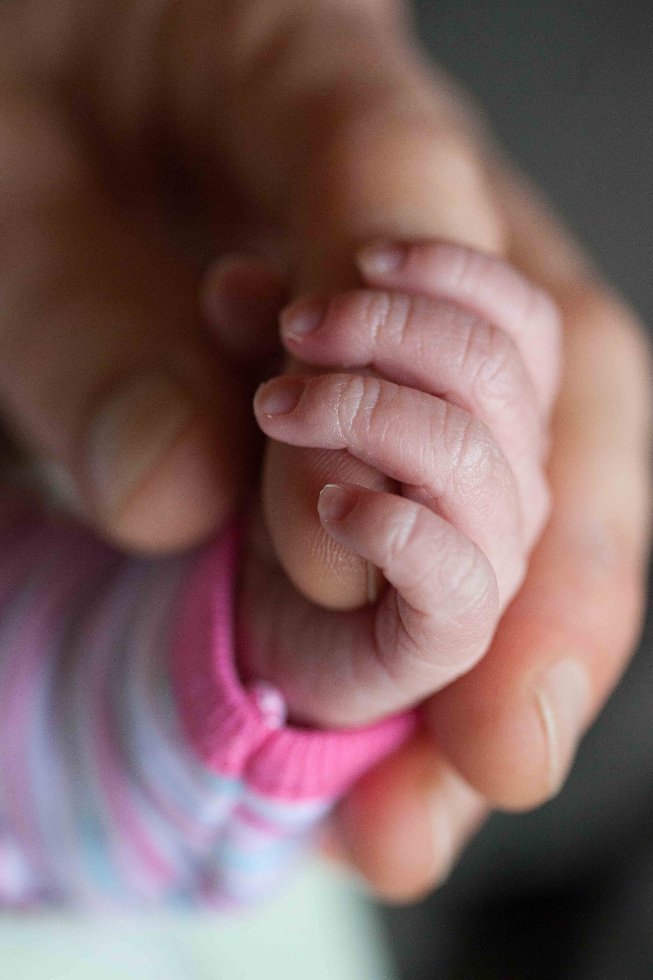 Close-up of an adult hands holding a sleeping baby's tiny hand and fingers in a gentle grasp.