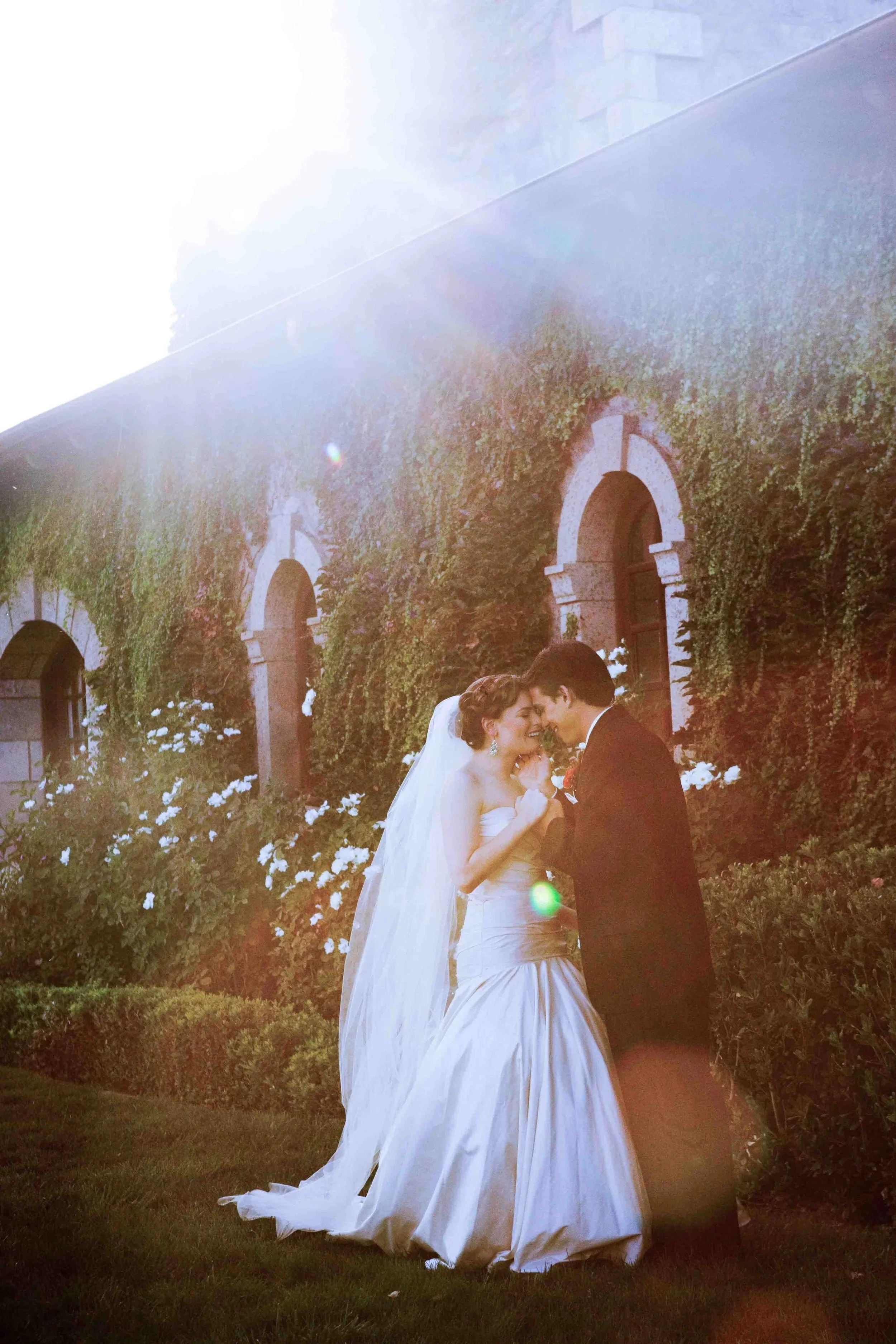 A bride and groom sharing a kiss outdoors near a brick building covered in greenery, with sunlight creating a warm glow and lens flare.
