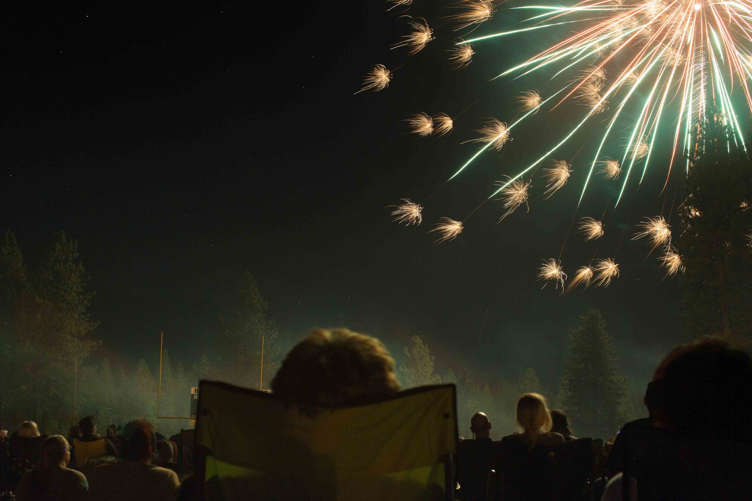 Nighttime fireworks display over a crowd of people at an outdoor event, with firework bursts in the sky and trees in the background.