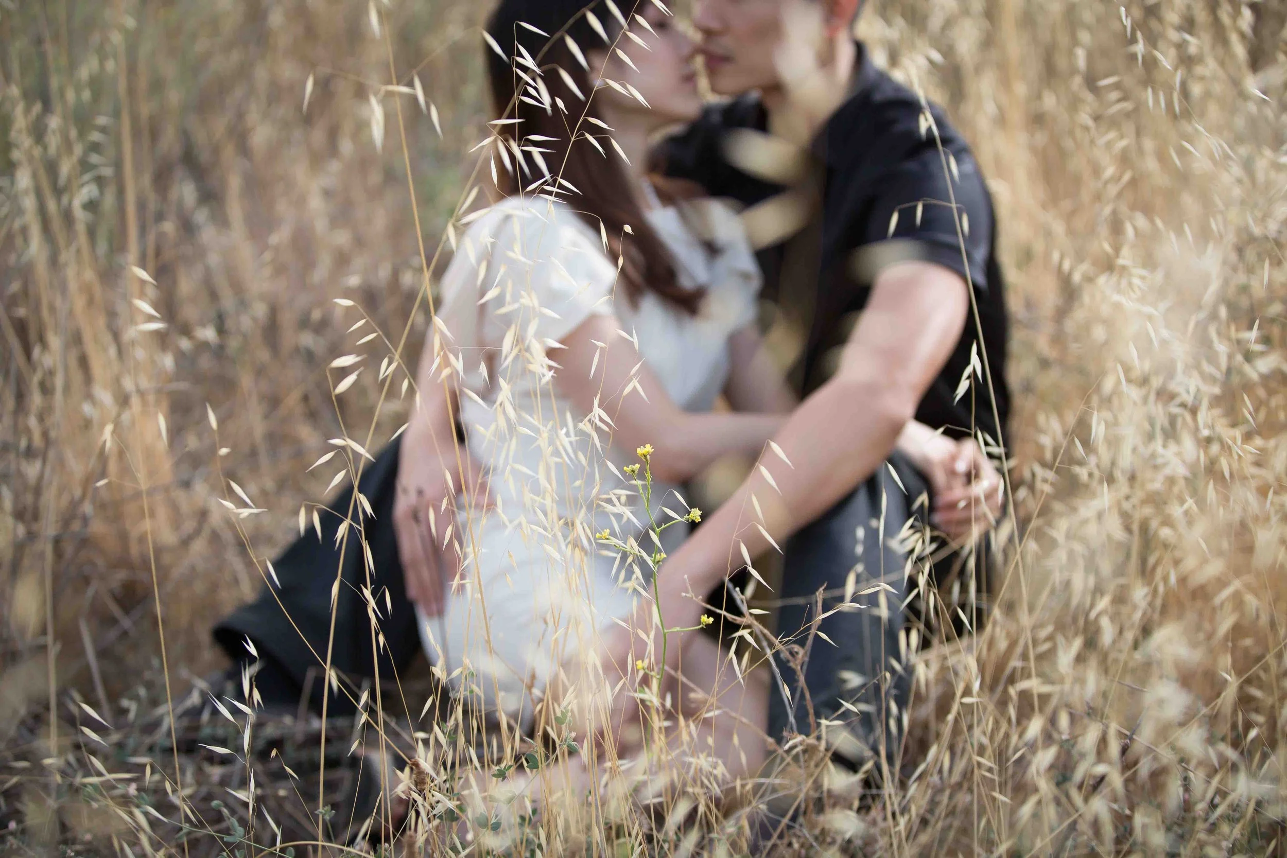 A couple kissing and holding each other in a field of tall dry grass.