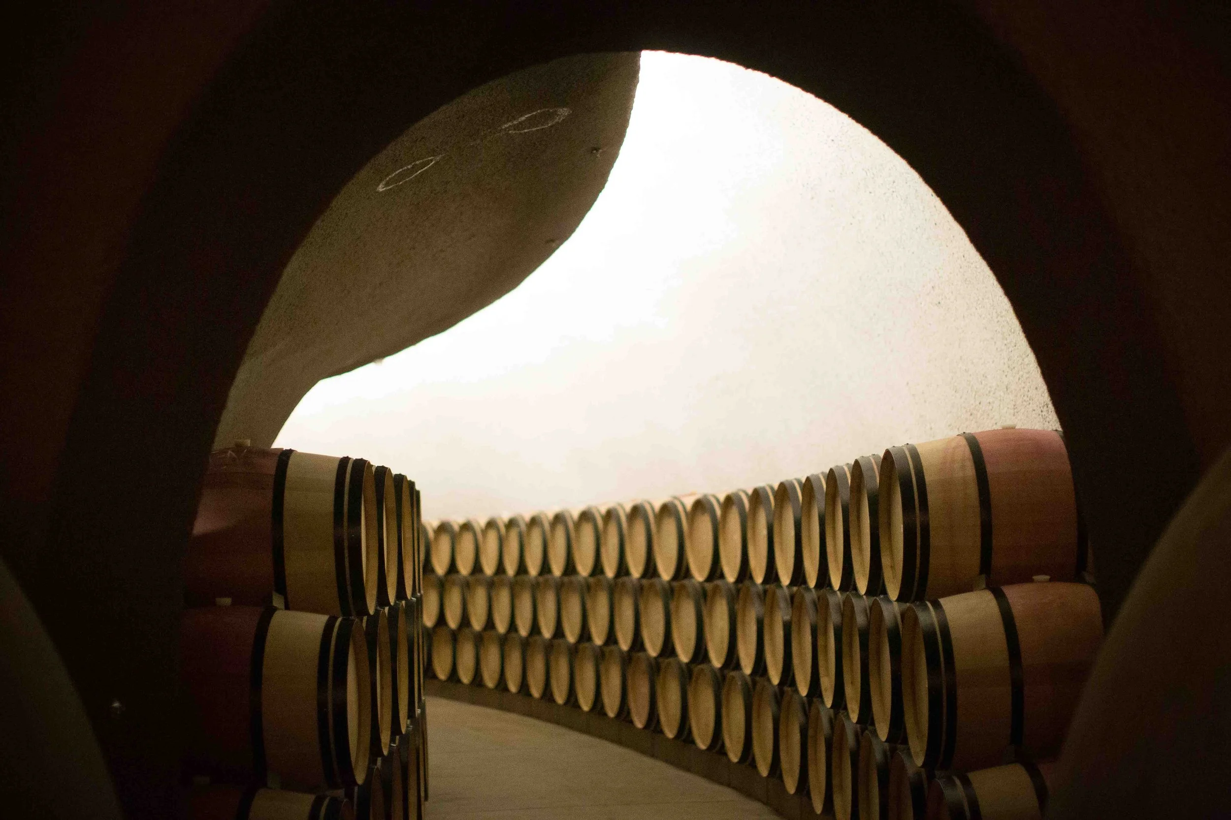 A view of a barrel storage room seen through a circular opening, with wooden barrels stacked along the walls.