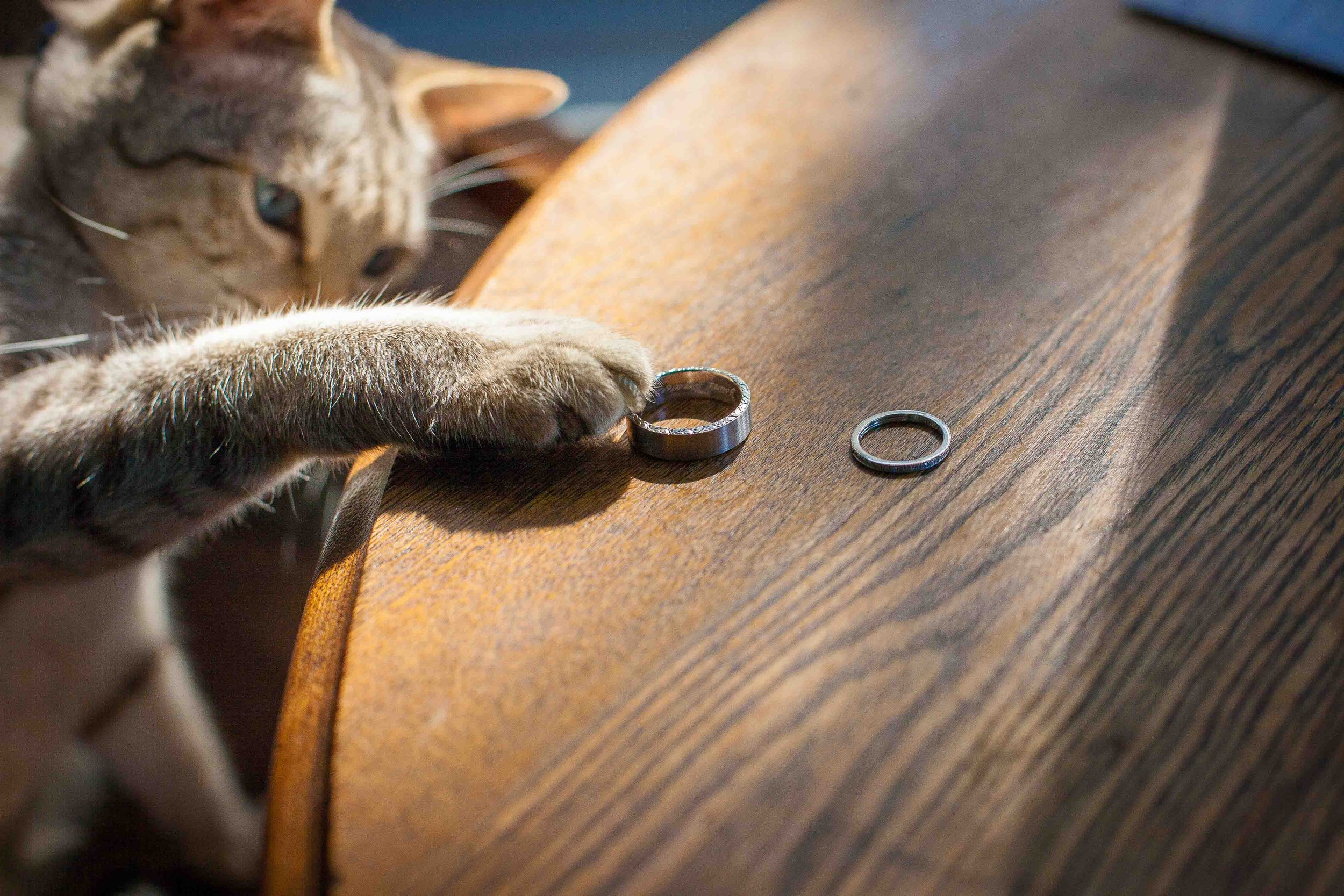 A cat reaching for a silver ring on a wooden table, with another ring nearby.