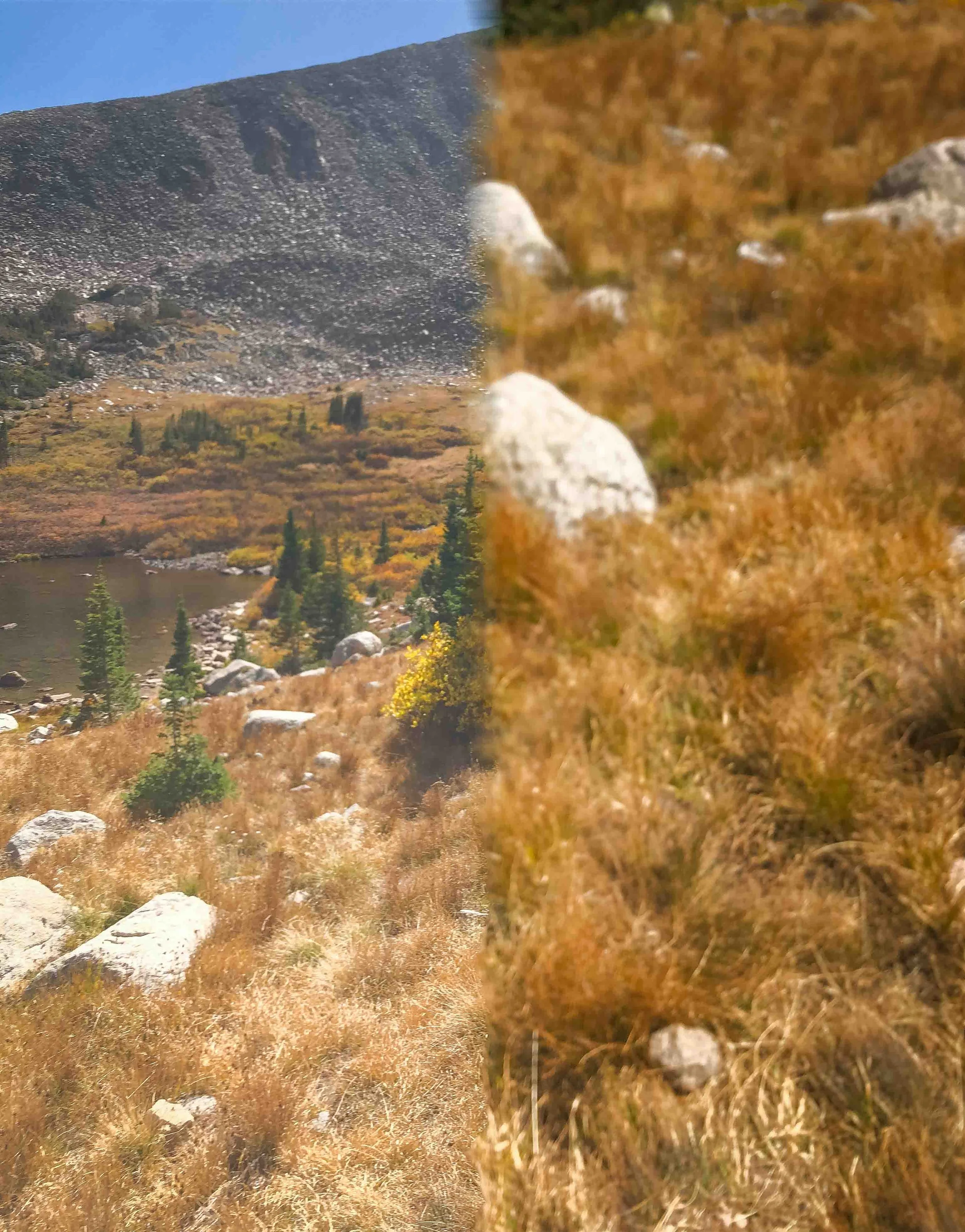 A landscape with a mountain in the background, a river, trees, and rocky terrain, divided vertically into two parts showing different visual qualities.