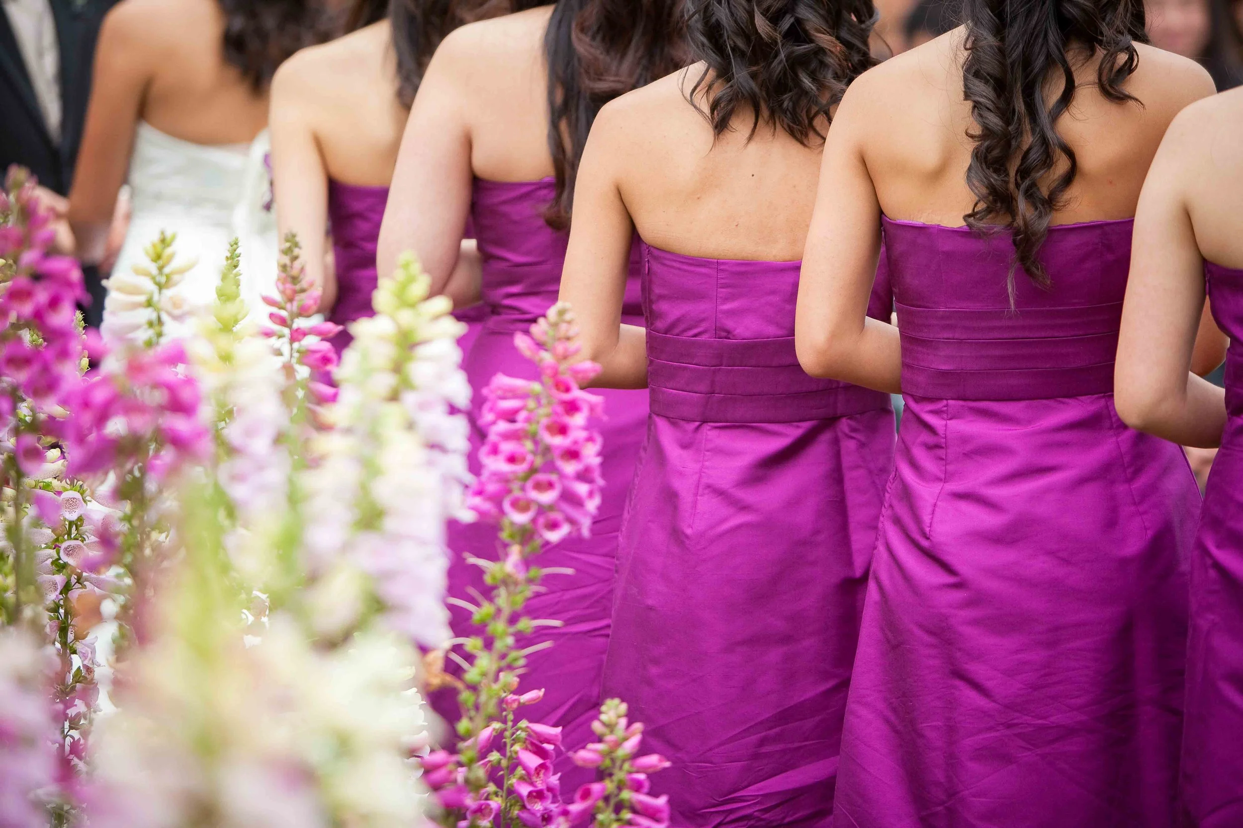 Line of women in purple dresses standing outdoors with pink and white flowers in the foreground.