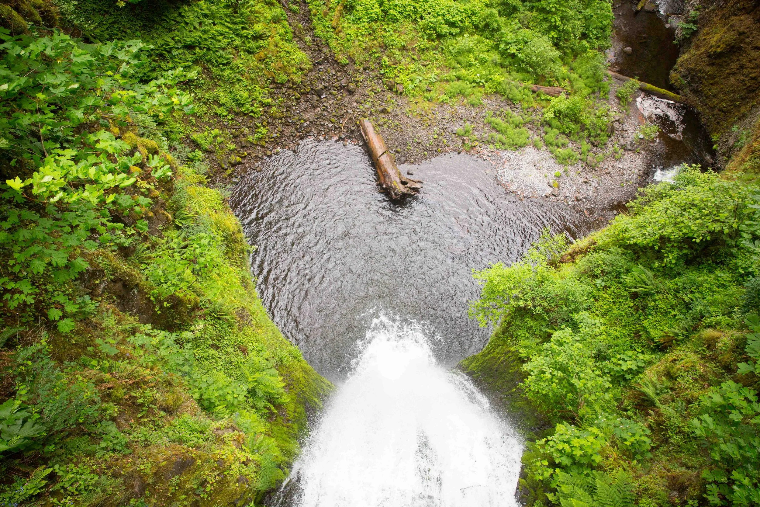 A view from above of a small waterfall flowing into a round pond surrounded by green moss and lush vegetation.