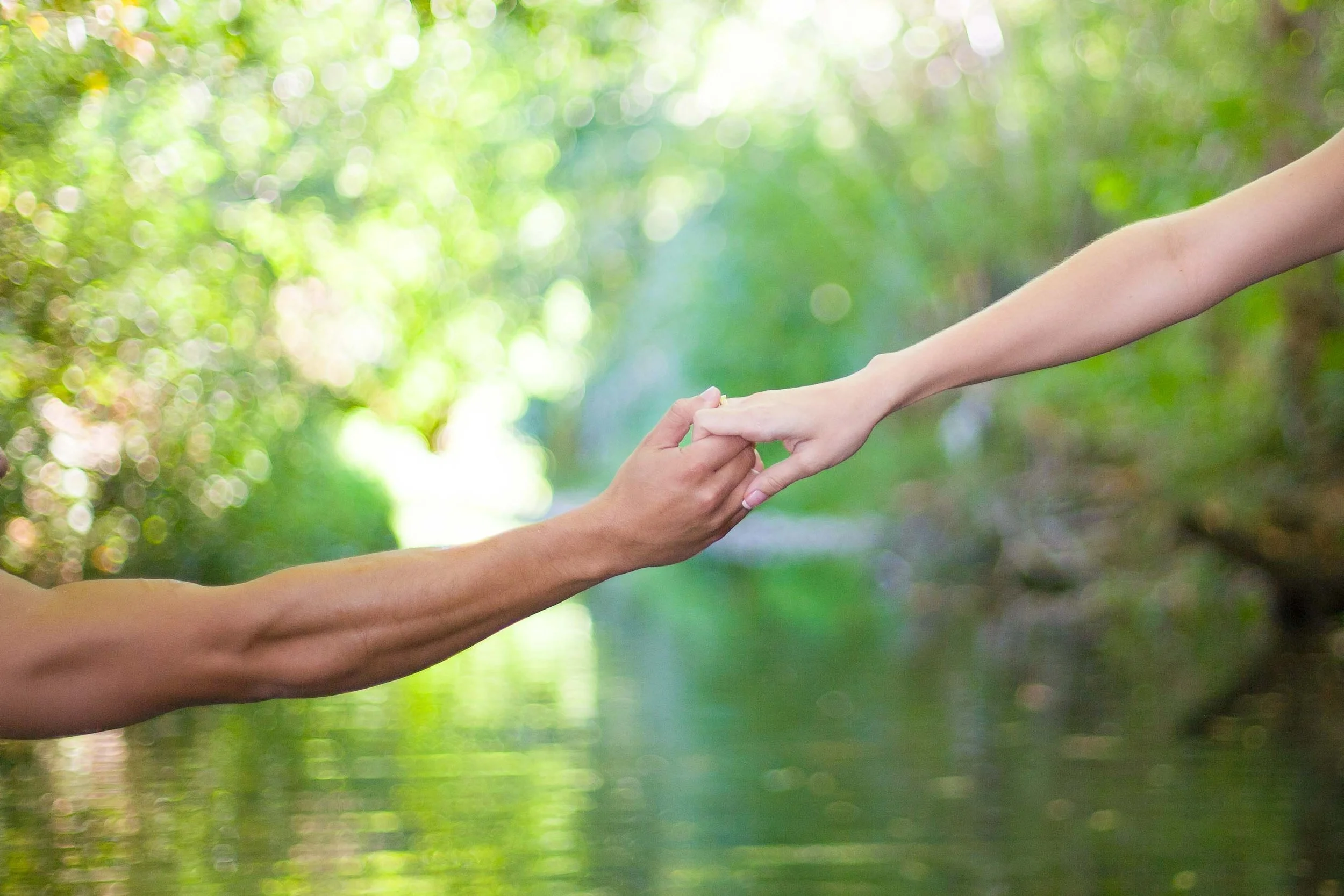 Two people holding hands reaching towards each other in a natural outdoor setting with greenery and soft sunlight.