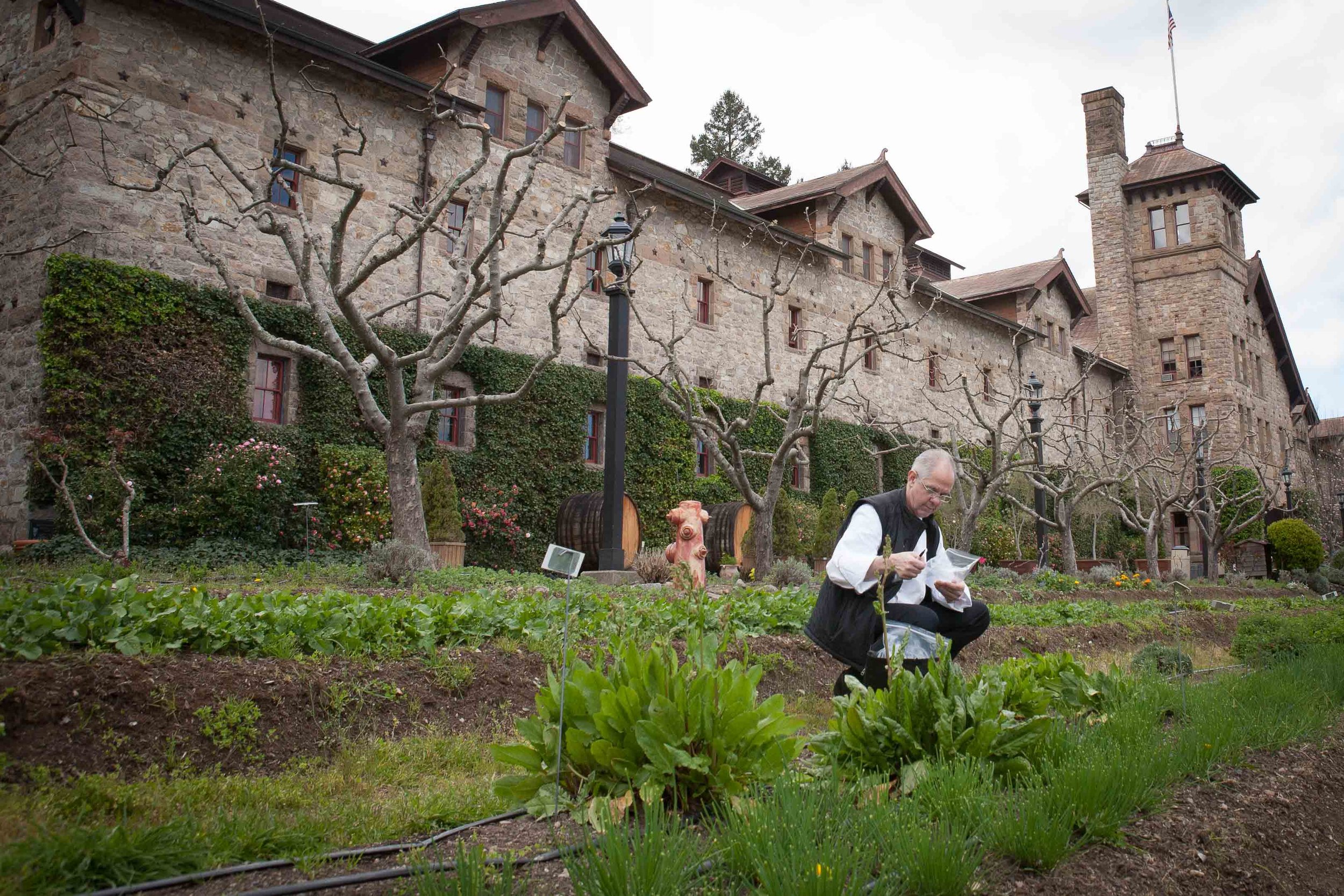 A man kneeling in a garden with a large stone building and leafless trees in the background.
