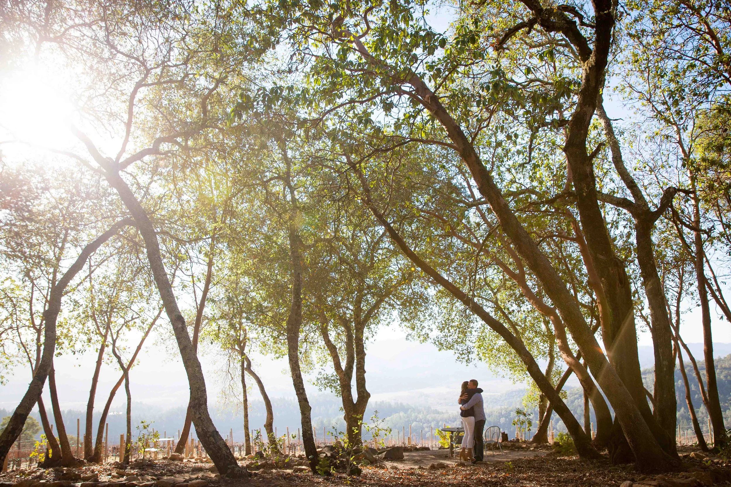 A couple hugging under large trees in a sunny outdoor setting with hills in the background.