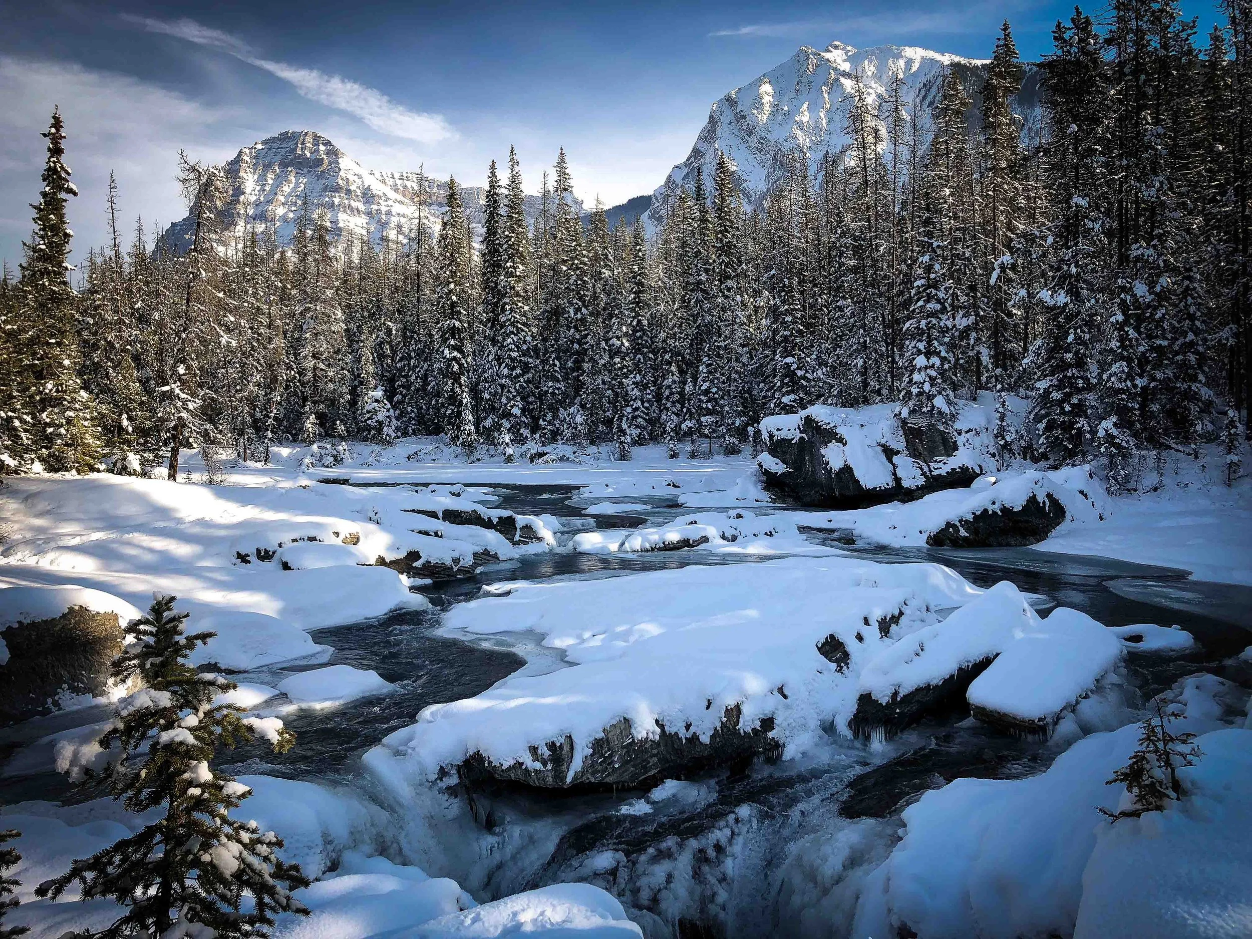 Snow-covered river flowing through a forest of pine trees with mountains in the background under a blue sky.