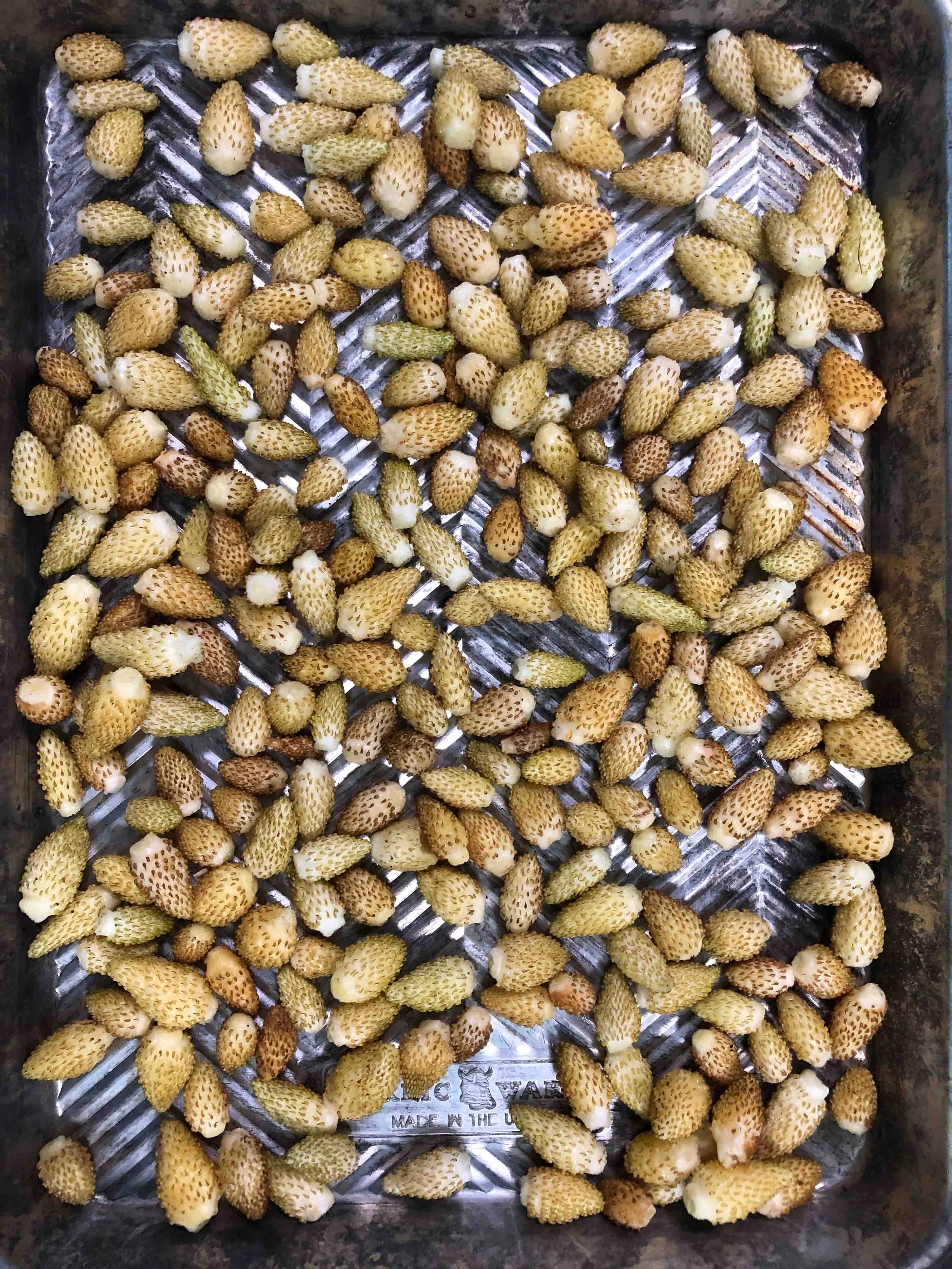 A metal tray filled with small, spiky, greenish-yellow strawberries.