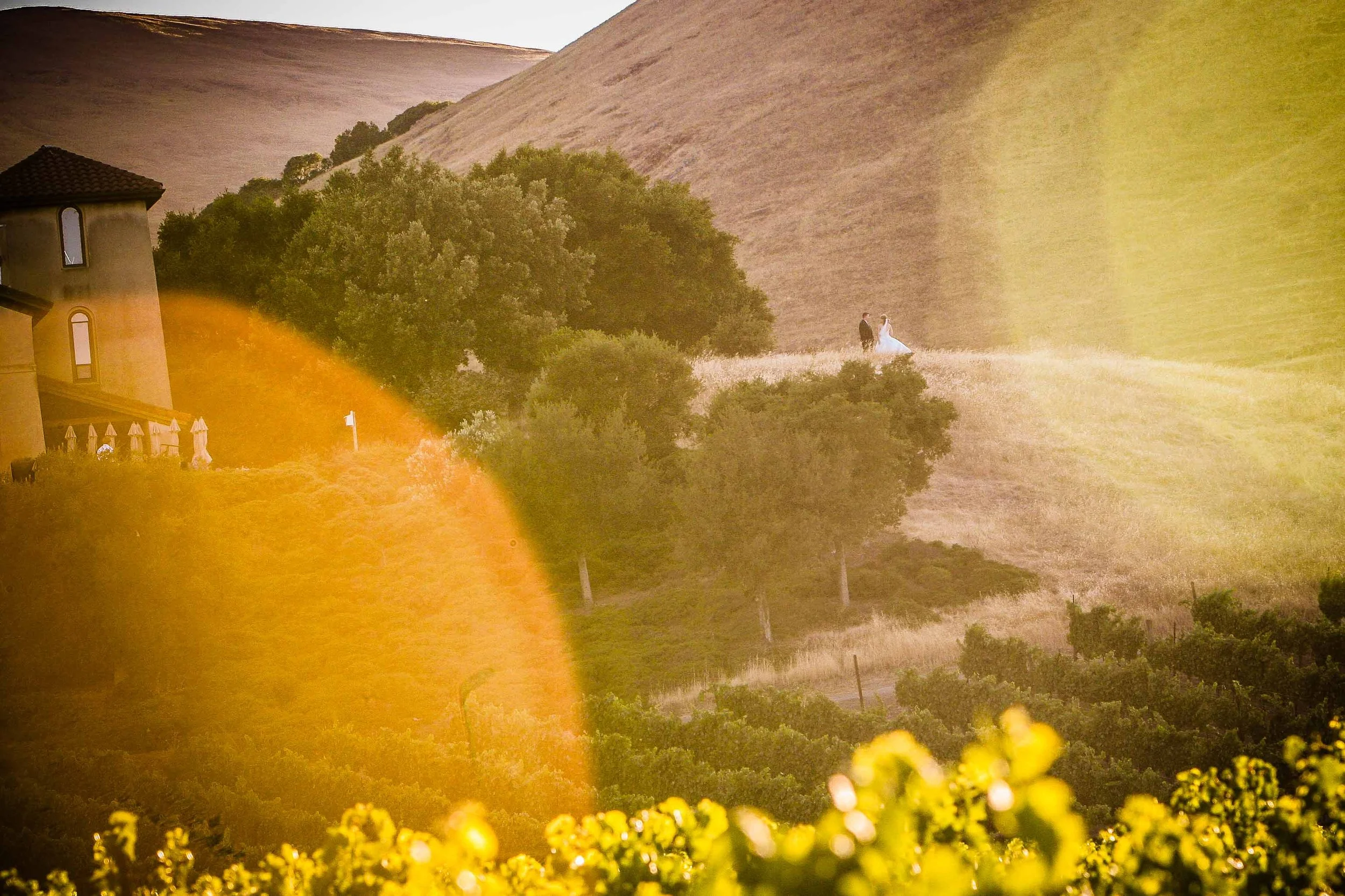 A bride and groom walking on a grassy hillside with trees, a building, and purple hills in the background, illuminated by warm sunlight.