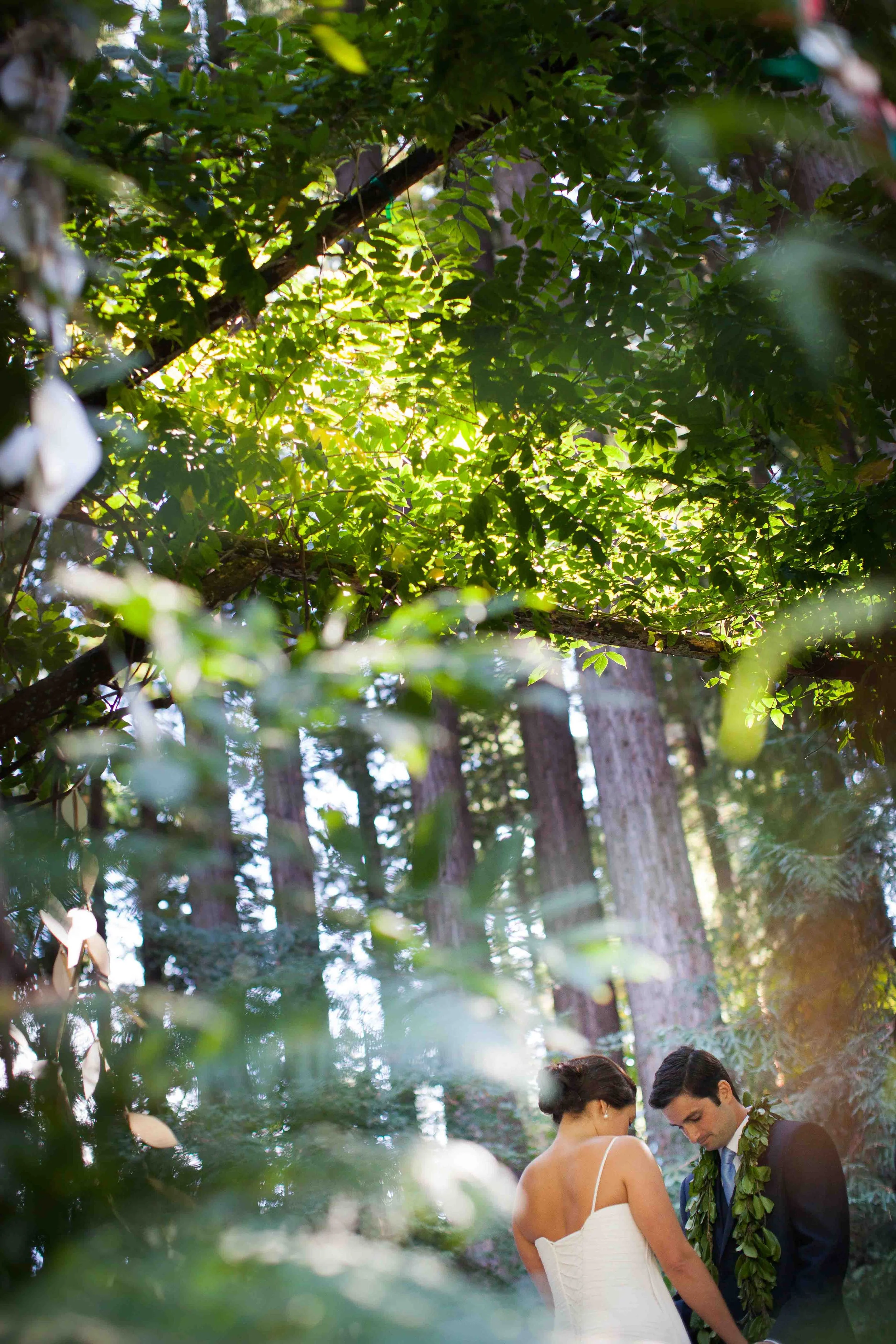 A bride and groom holding hands, dressed in wedding attire, with greenery and tall trees in the forest.