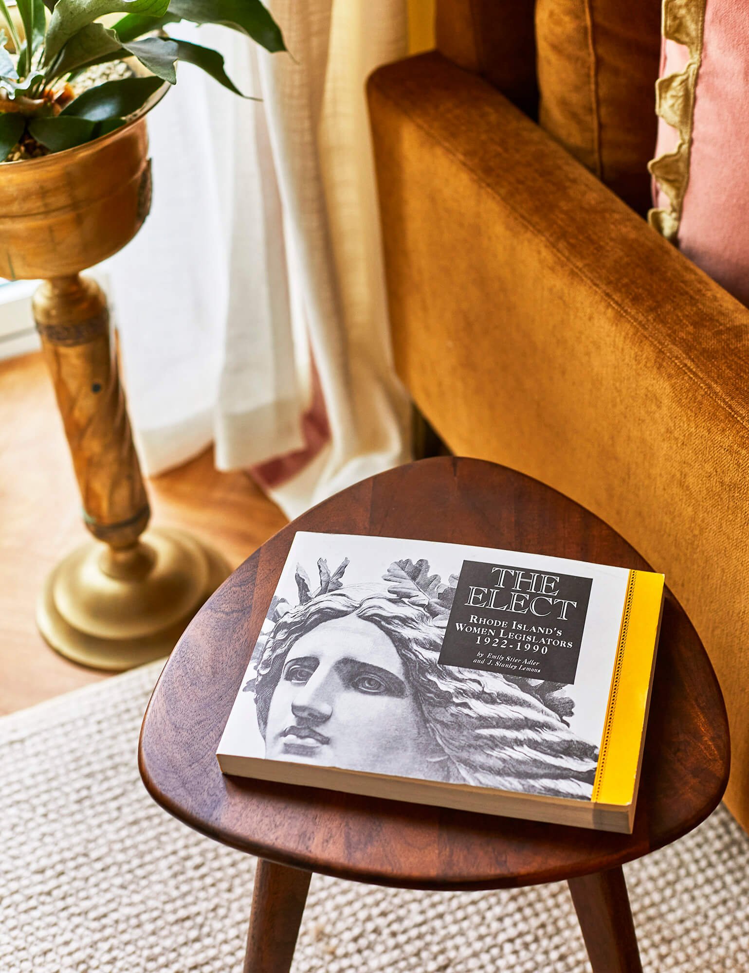 A hardcover book titled 'The Elect' resting on a small wooden table with a curved, polished surface. The book features a black-and-white illustration of a woman's face with an artistic design. In the background, an orange upholstered armchair with a pink pillow with a ruffled edge and a wooden side table with a decorative carved leg are visible. A potted plant with broad green leaves is on a stand beside a window with white curtains, and a beige textured rug covers the floor.
