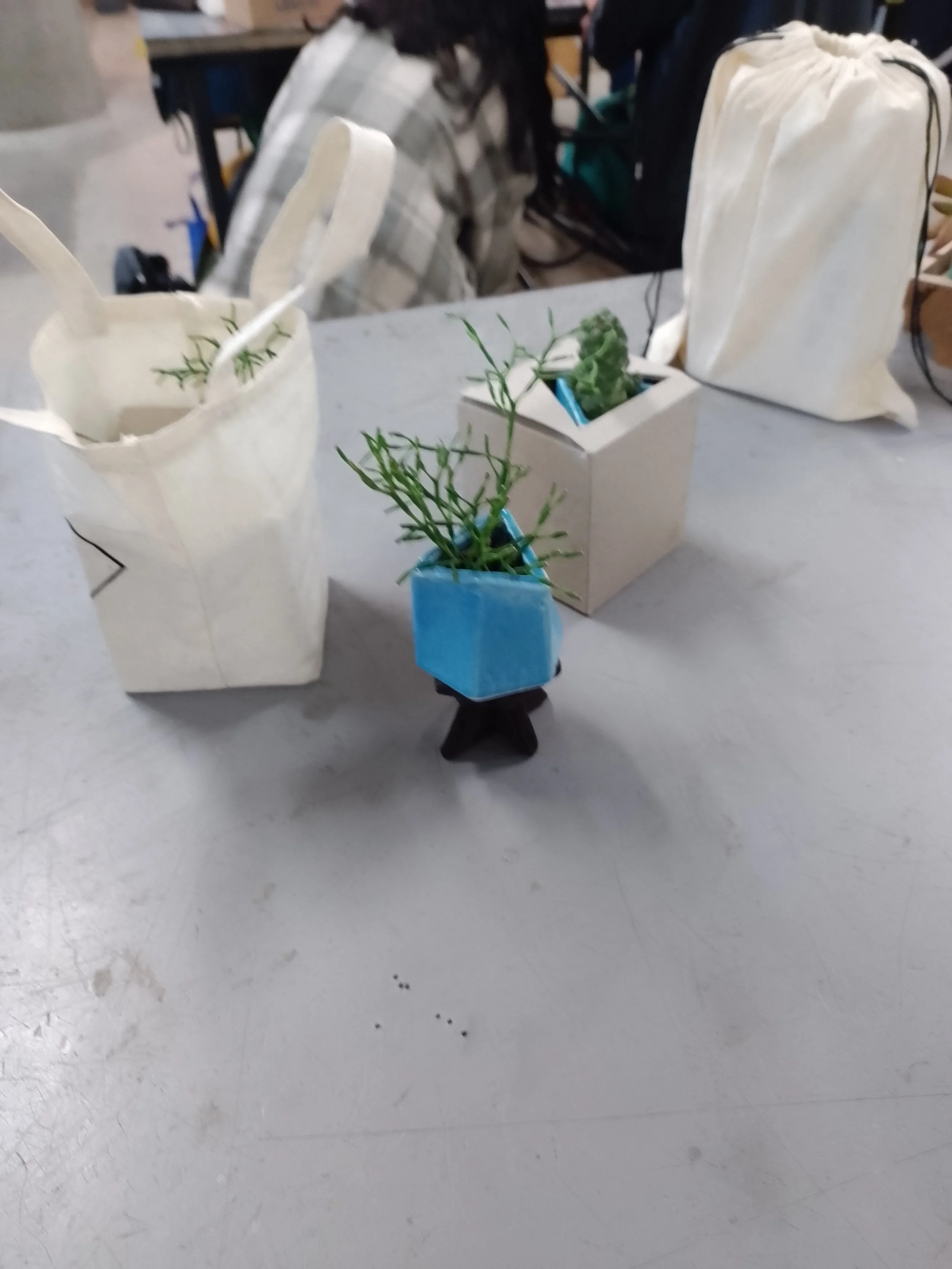 Reproducción Industrial en Macetas