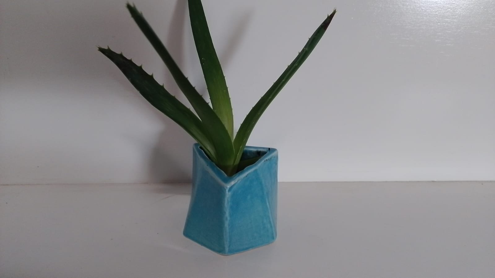 WhatsApp Image 2025-05-17 at 09.37.01.jpg