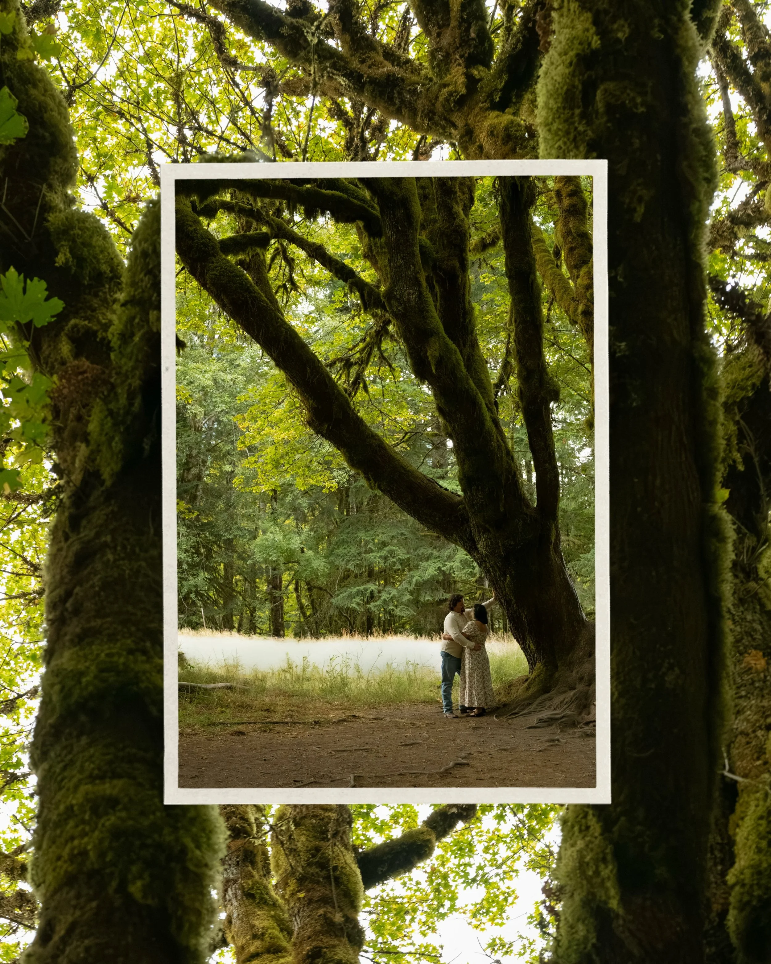 Another cute couple from the PNW 🍃🫶🏻✨

Amy and Bryan, thanks for letting my photograph you and congrats on the upcoming wedding!! 🍃🫶🏻✨ it&rsquo;s going to be beautiful and it was truly a pleasure meeting you and chatting your ear off lol!
.
.
.