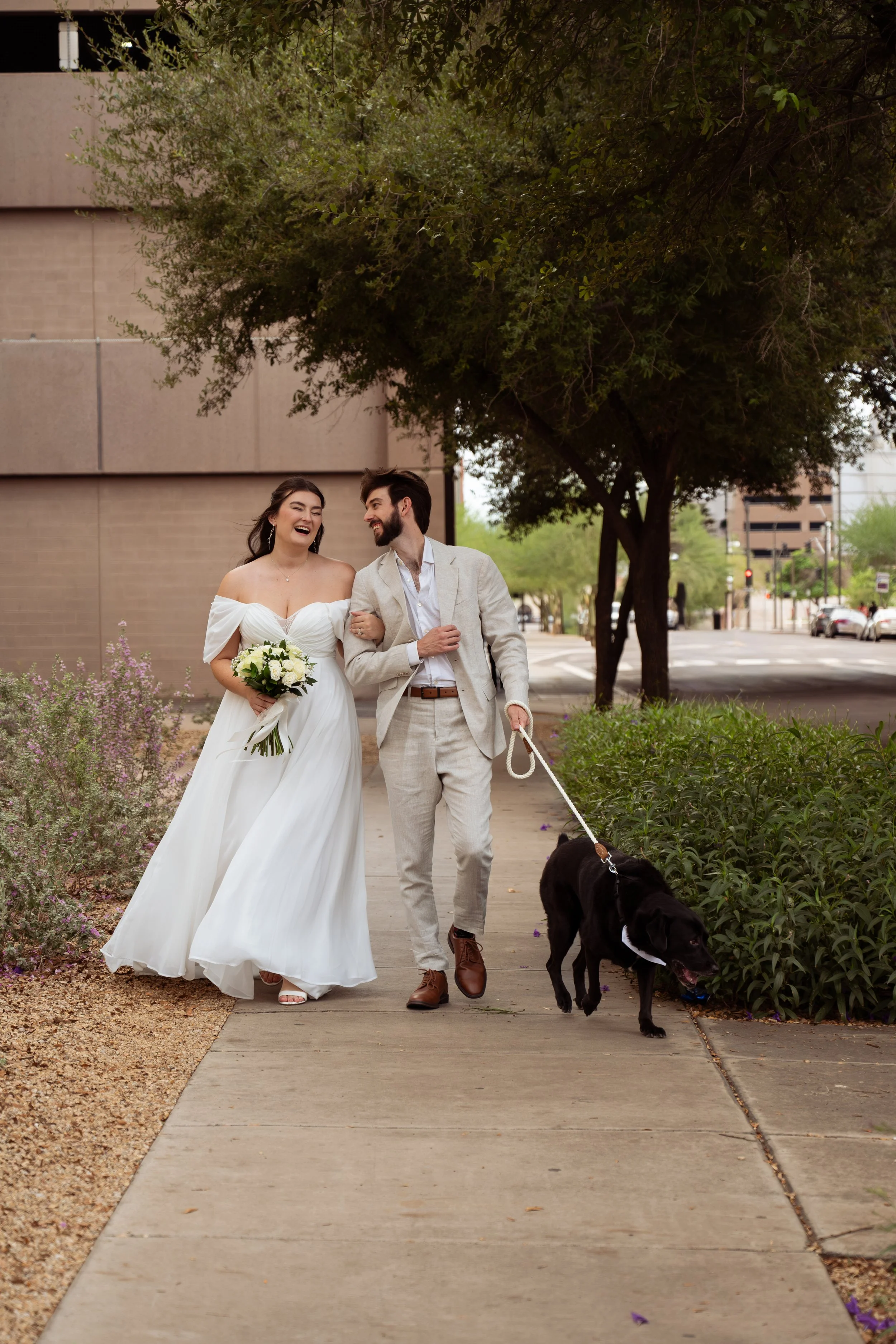 A bride and groom walking on a sidewalk, smiling and laughing, with a black Labrador, outdoors in an urban setting with trees and buildings.