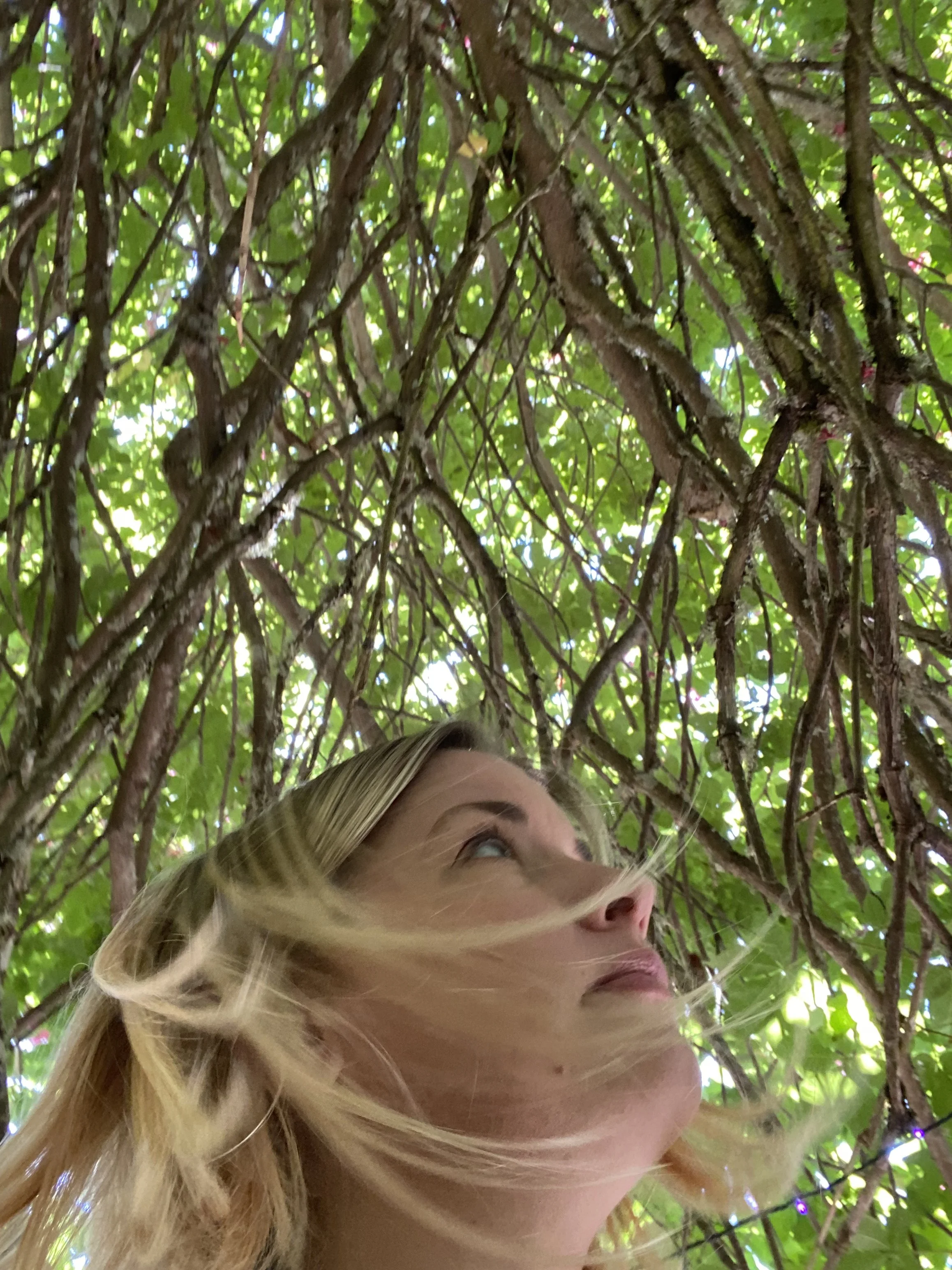 The Sea, The Tree &amp; Me