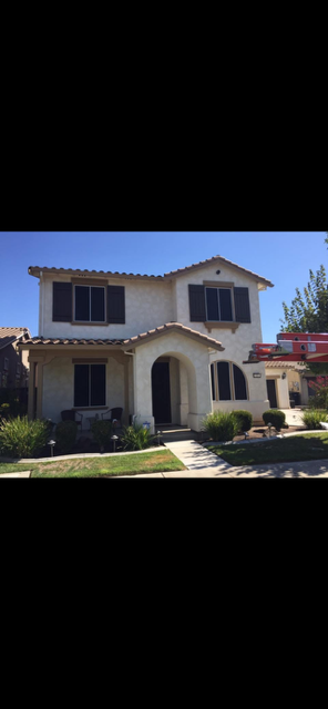 Privacy / Solar Screens