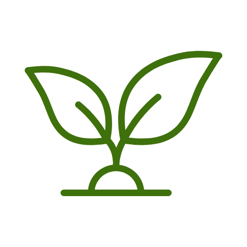 Green line drawing of a sprouting plant with two leaves and a small mound of soil beneath it.