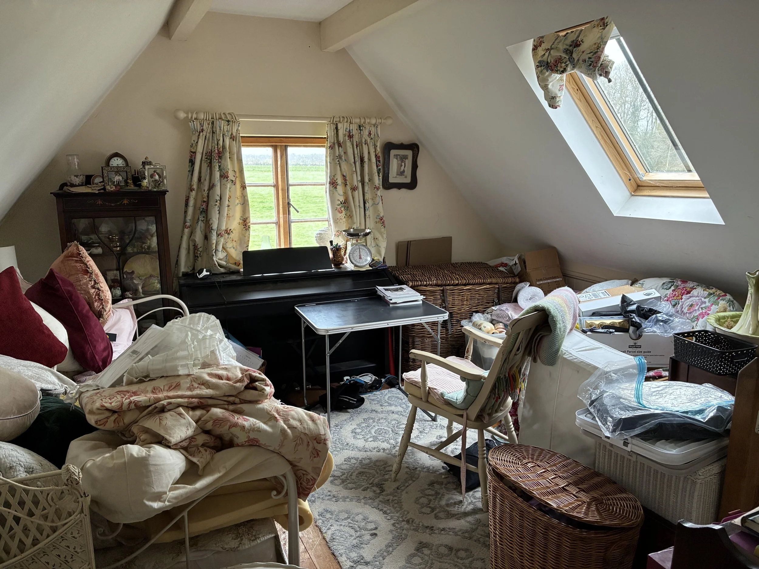 Spare room transformation and storage organisation in Marlborough
