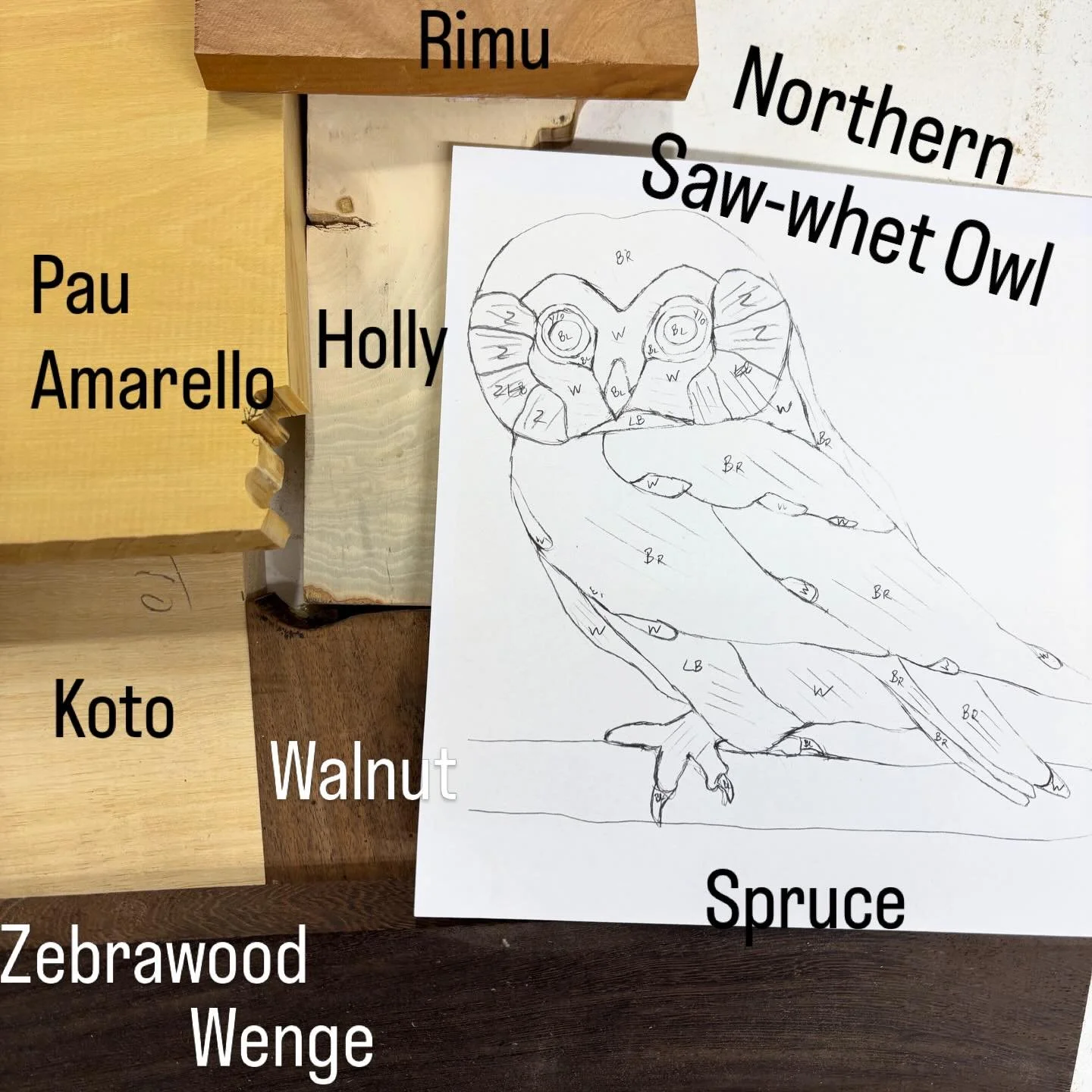 Monday Design. 

#intarsia #mpwdesigns #carvings #northernsawwhetowl