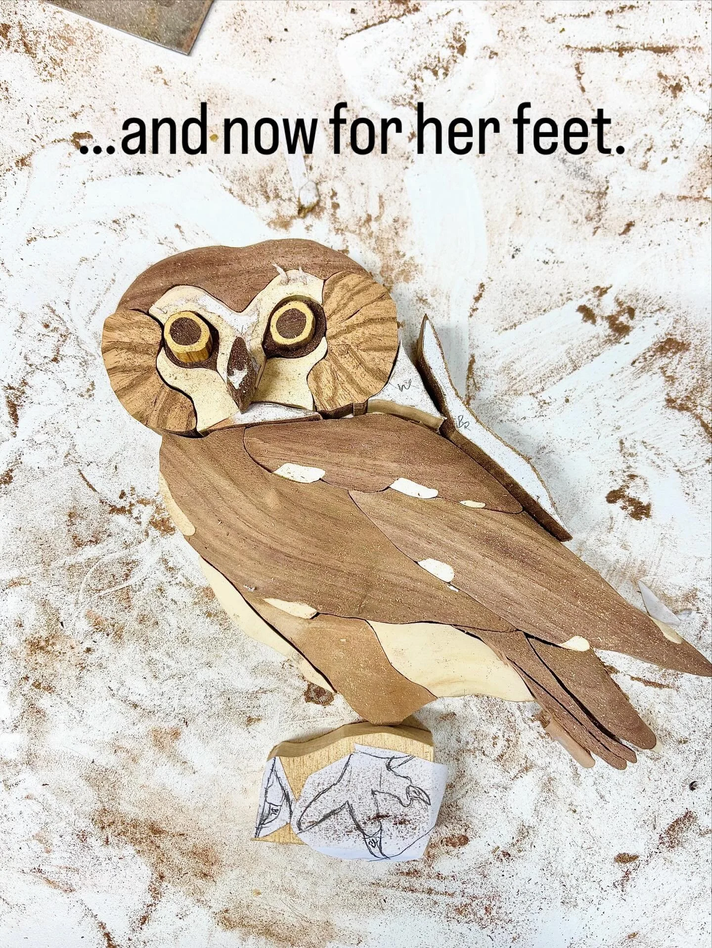 Progress on the northern saw-whet owl. 

#mpwdesigns #owl #northernsawwhetowl towl