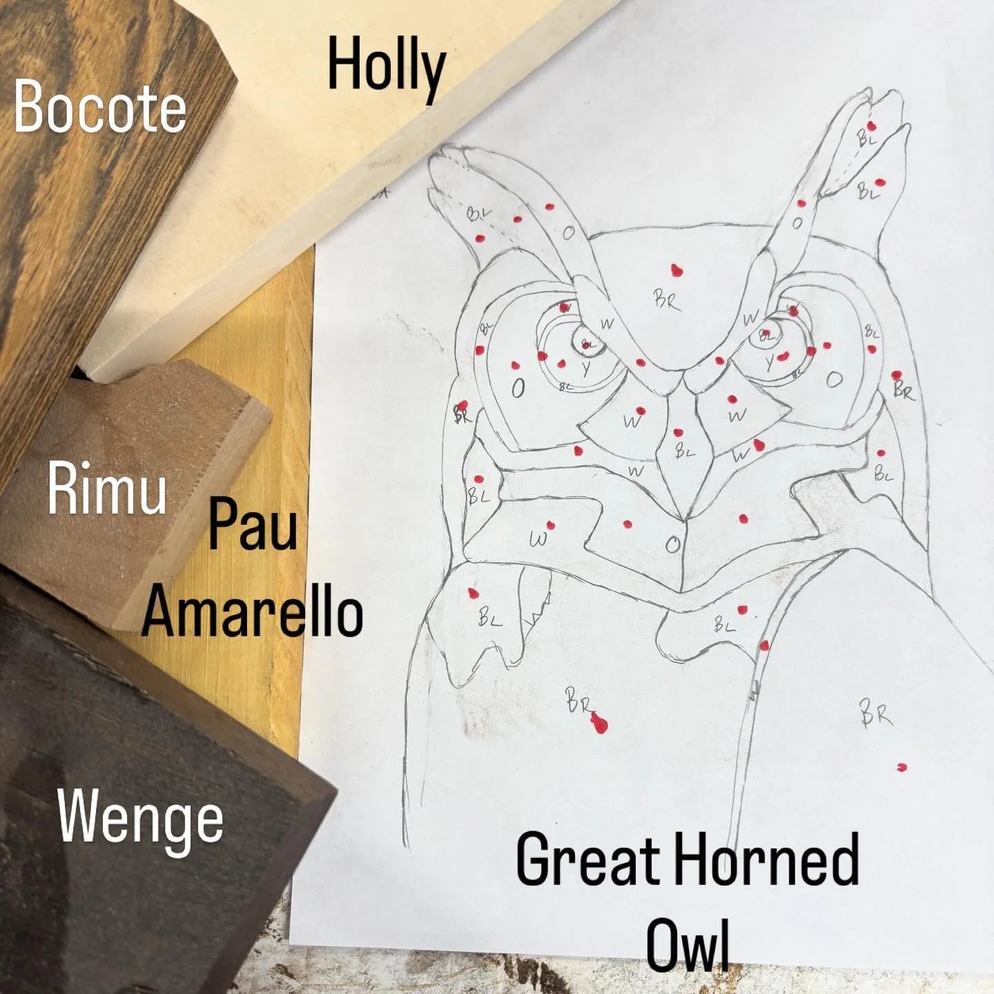 Monday Design - Great Horned Owl. 

#mpwdesigns #owl #greathornedowl #carving #intarsia