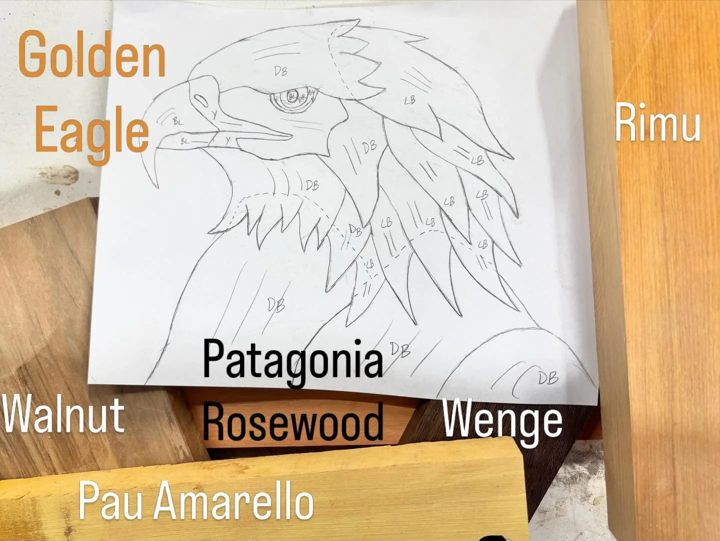 Monday Design -Golden Eagle.