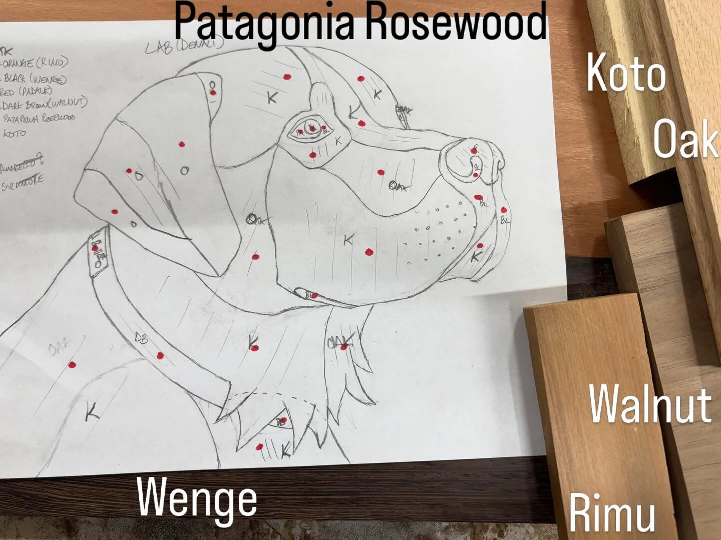 Monday Designs. Yellow Labrador&mdash; &ldquo;Denali&rdquo;.