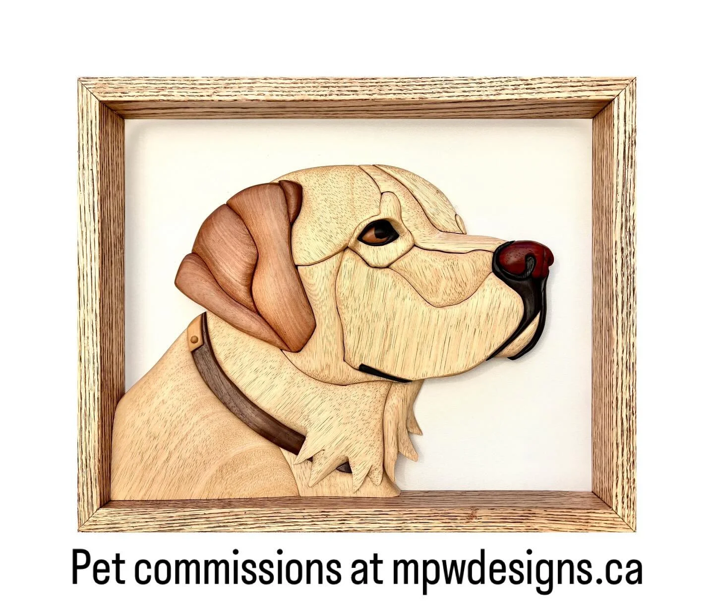 Friday reveal - yellow Labrador.

#labrador #pets #mpwdesigns