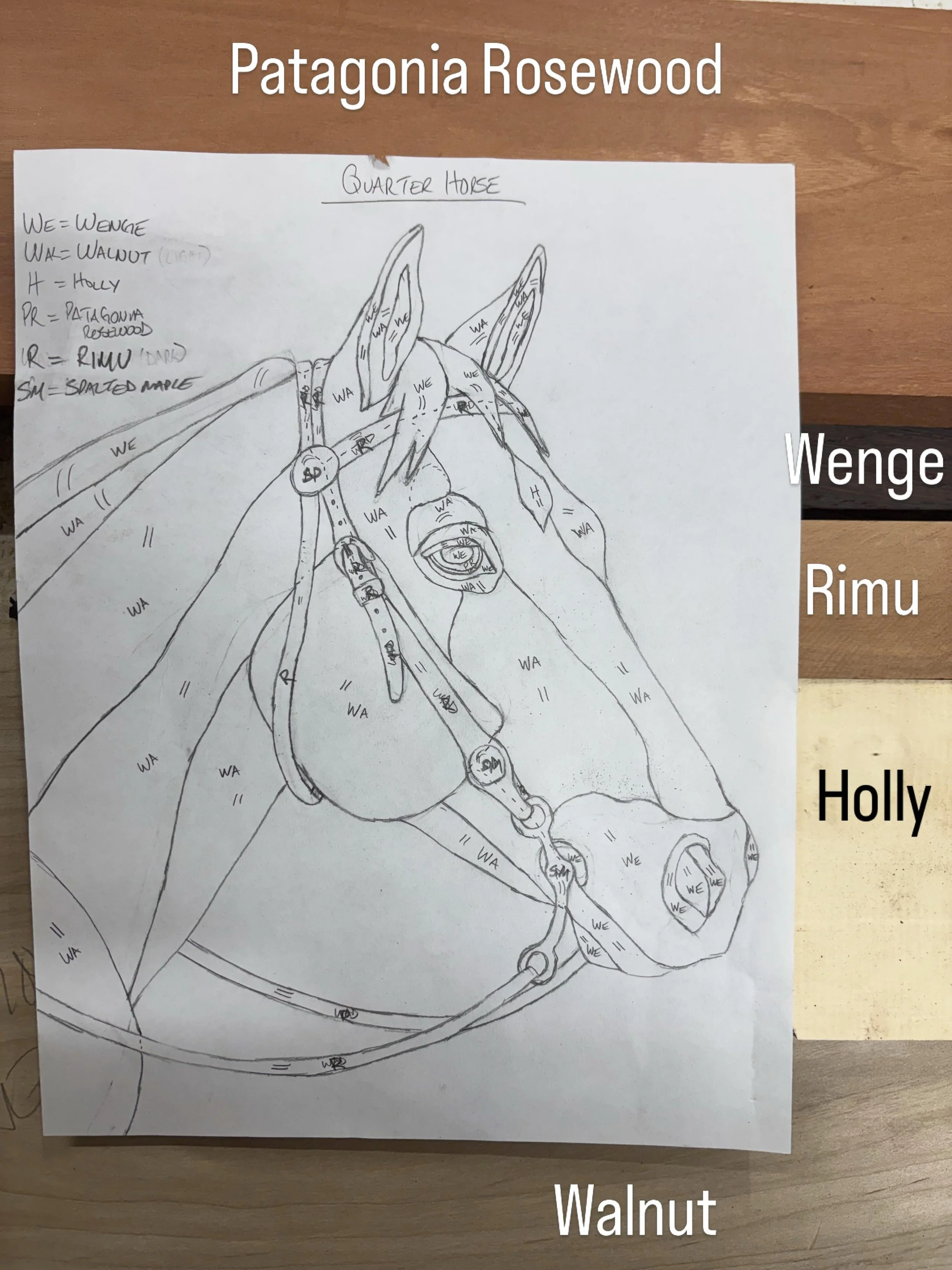 Monday design - Quarter Horse

#calgarystampede #mpwdesigns